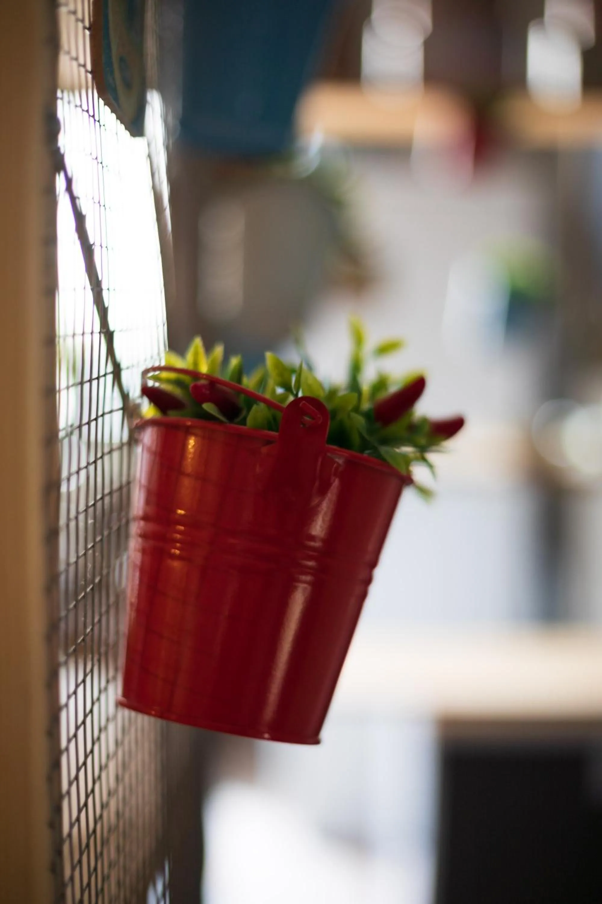 Terrazza Santa Chiara
