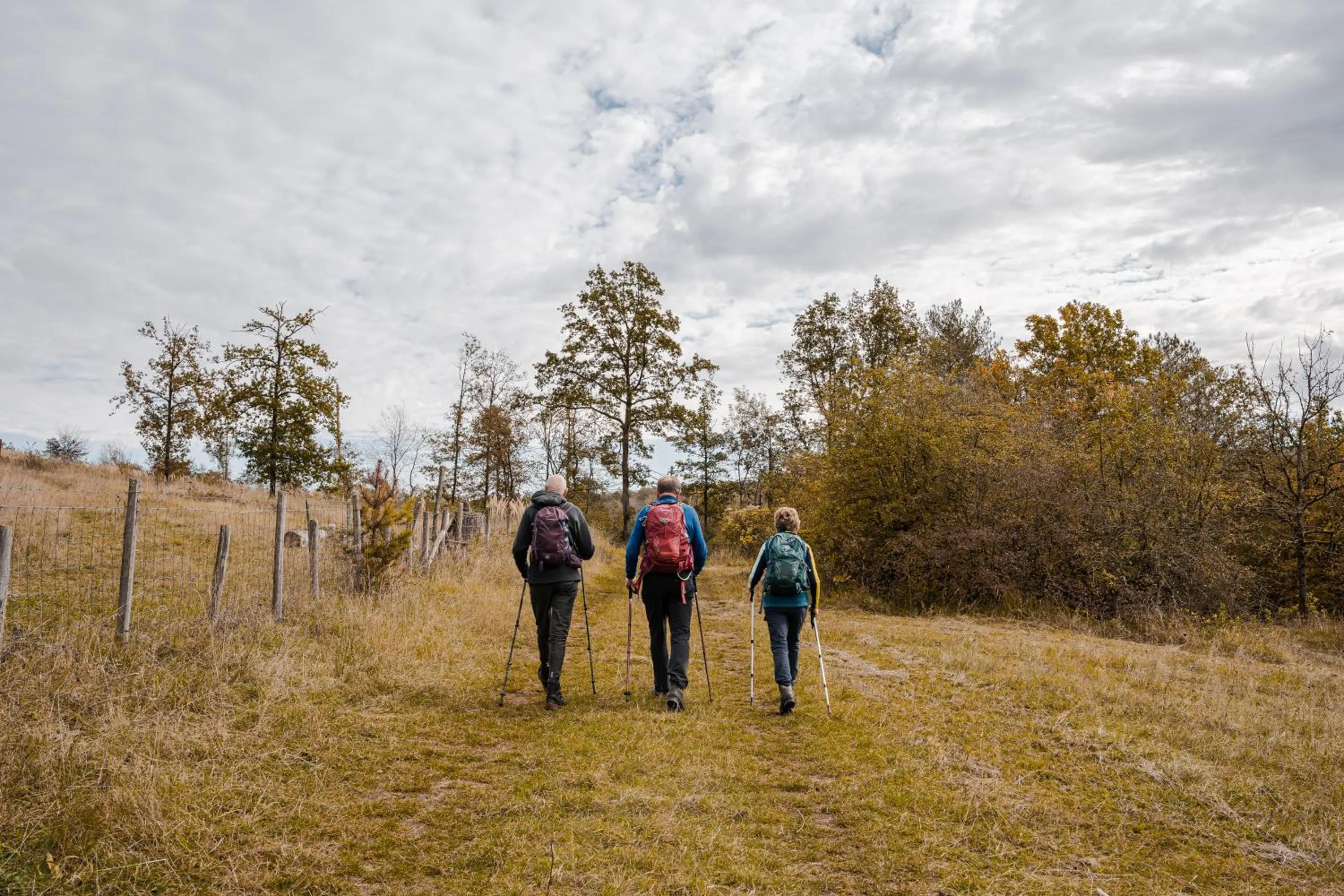 Natural landscape in Mont-des-Pins