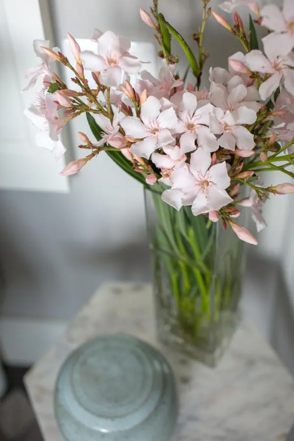 Villa Maria Boutique Hotel