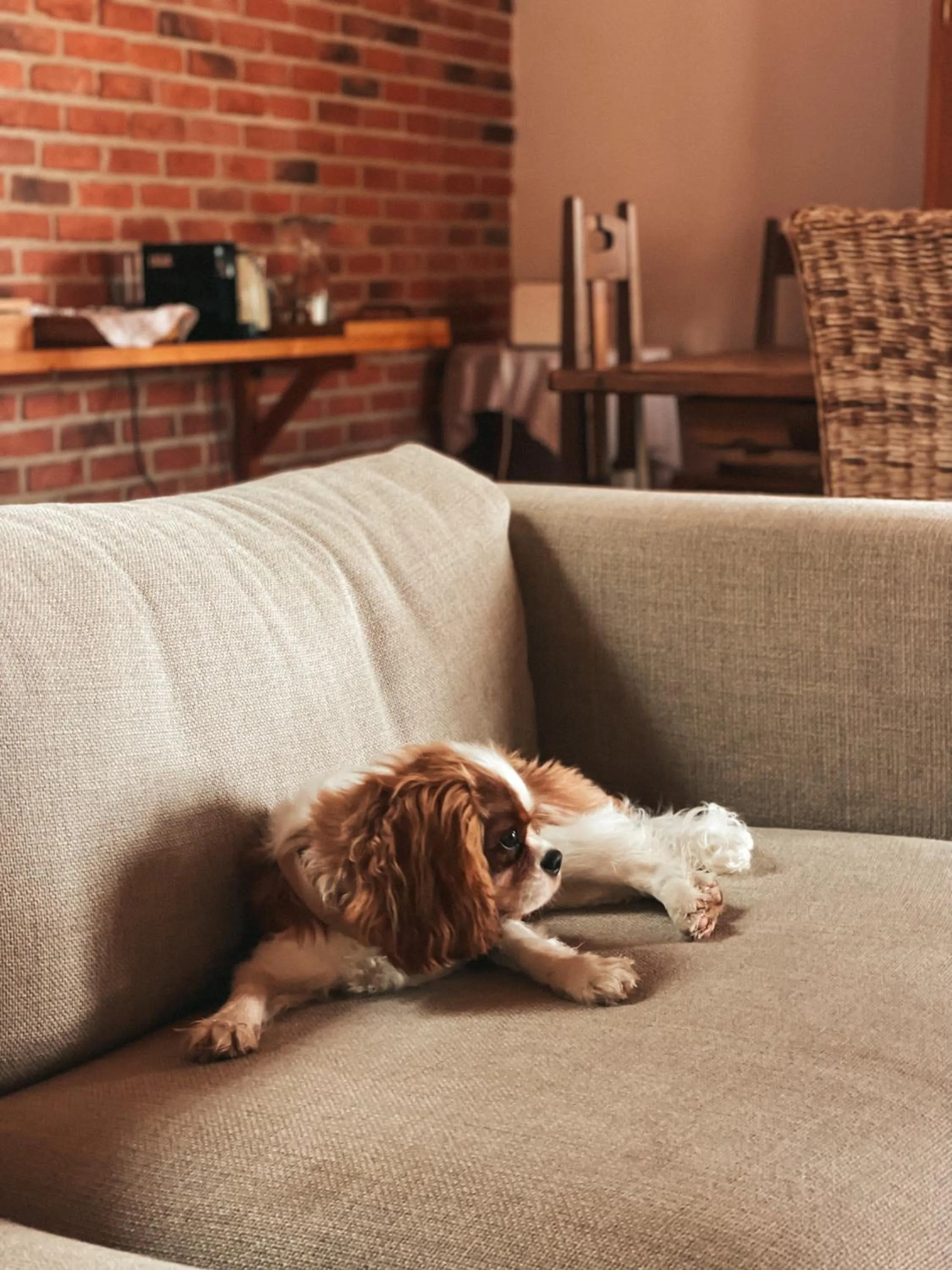 Living room in Quinta Amarela - B&B
