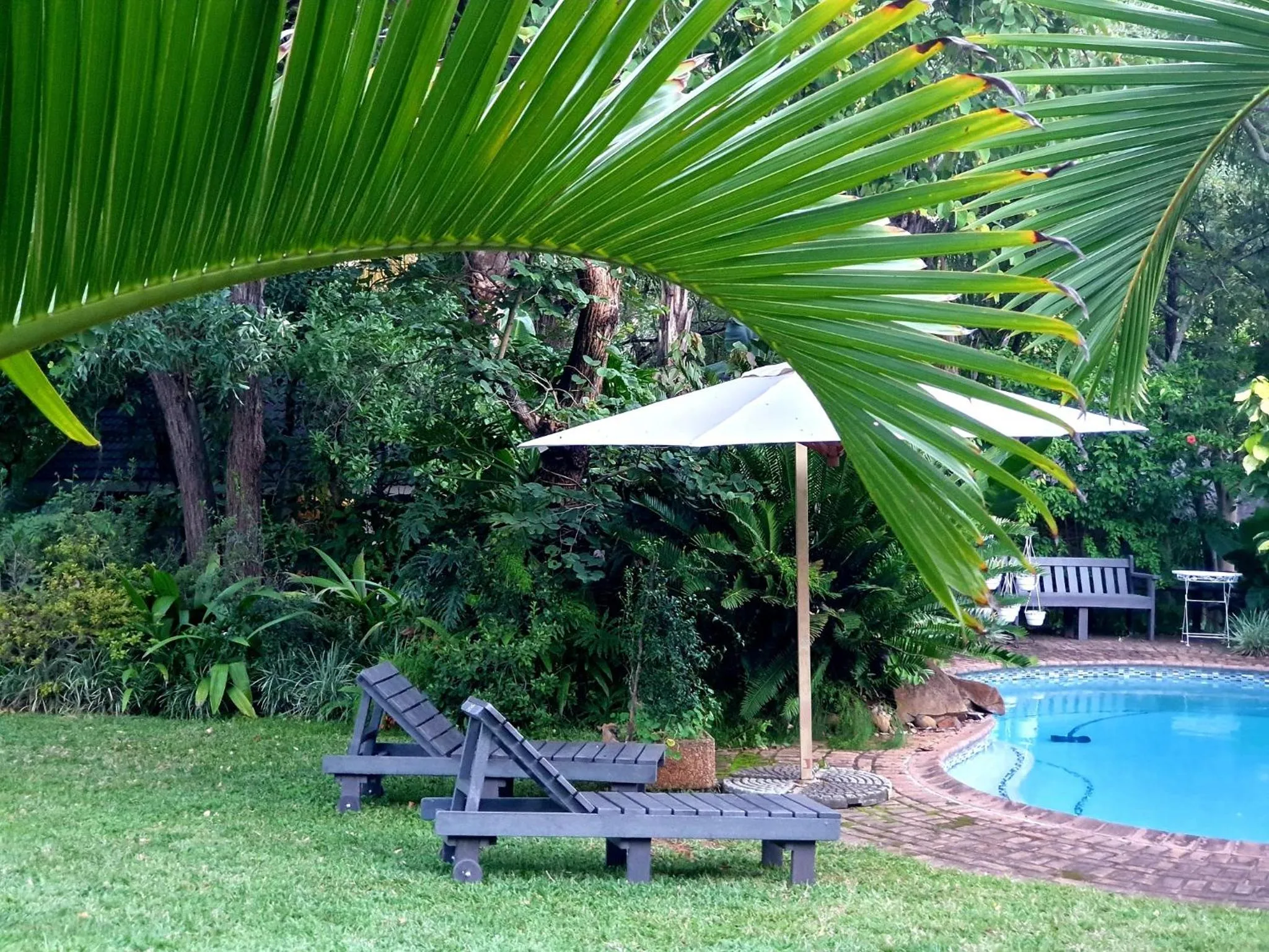 Swimming pool in Shingalana Guest Lodge