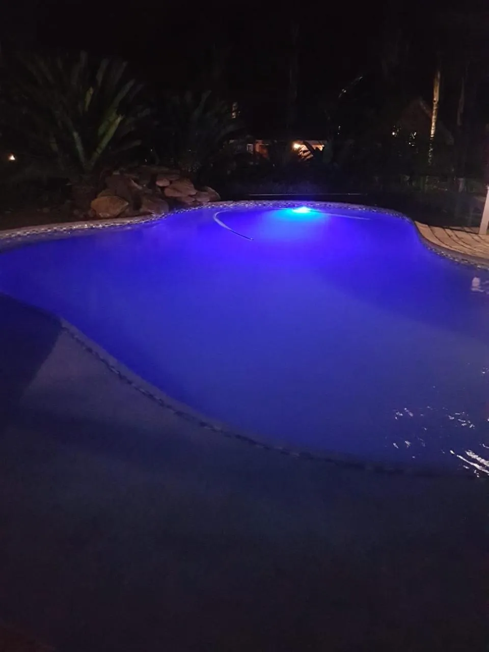 Swimming pool in Shingalana Guest Lodge