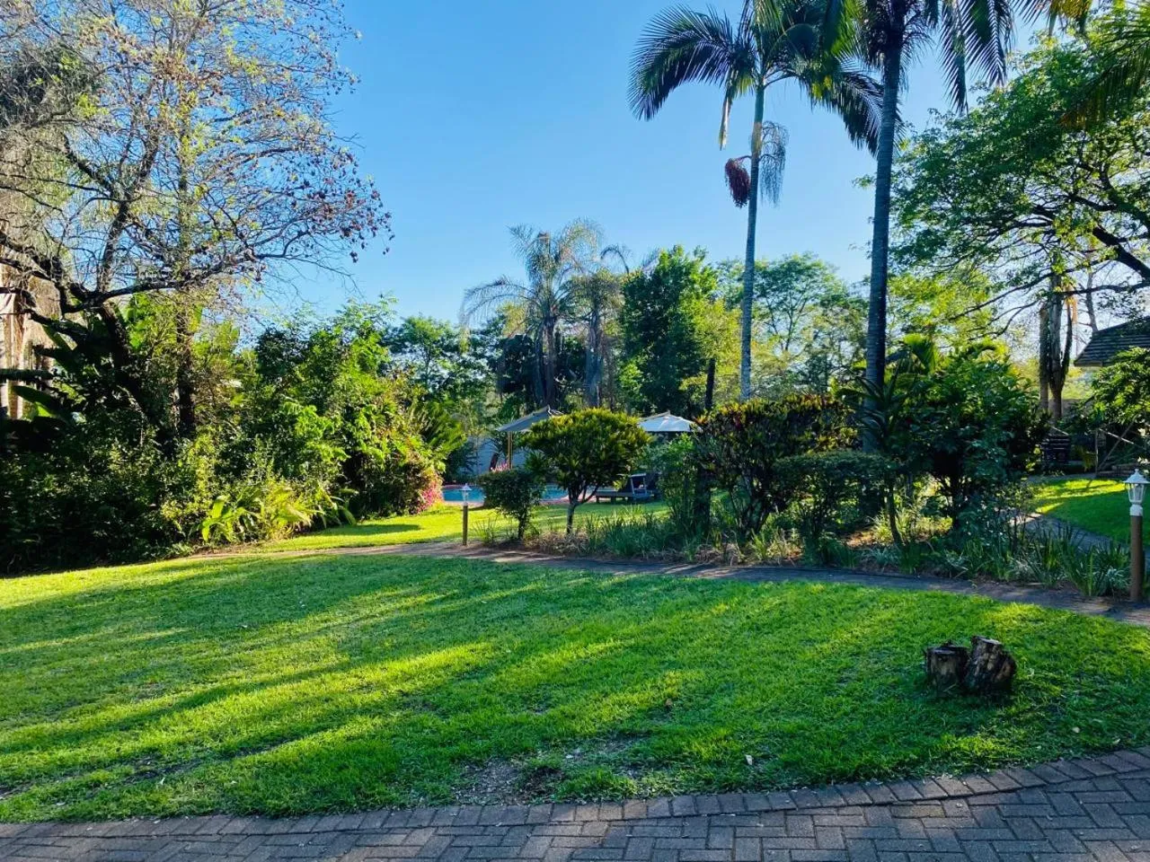Garden in Shingalana Guest Lodge