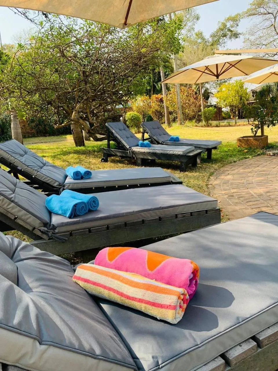 Swimming pool in Shingalana Guest Lodge