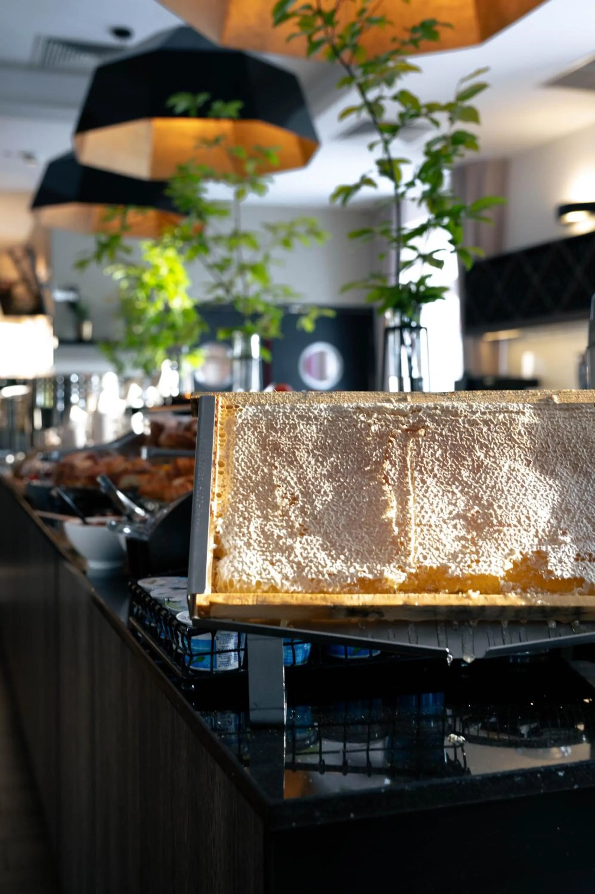 Food and drinks in Hotel Arche