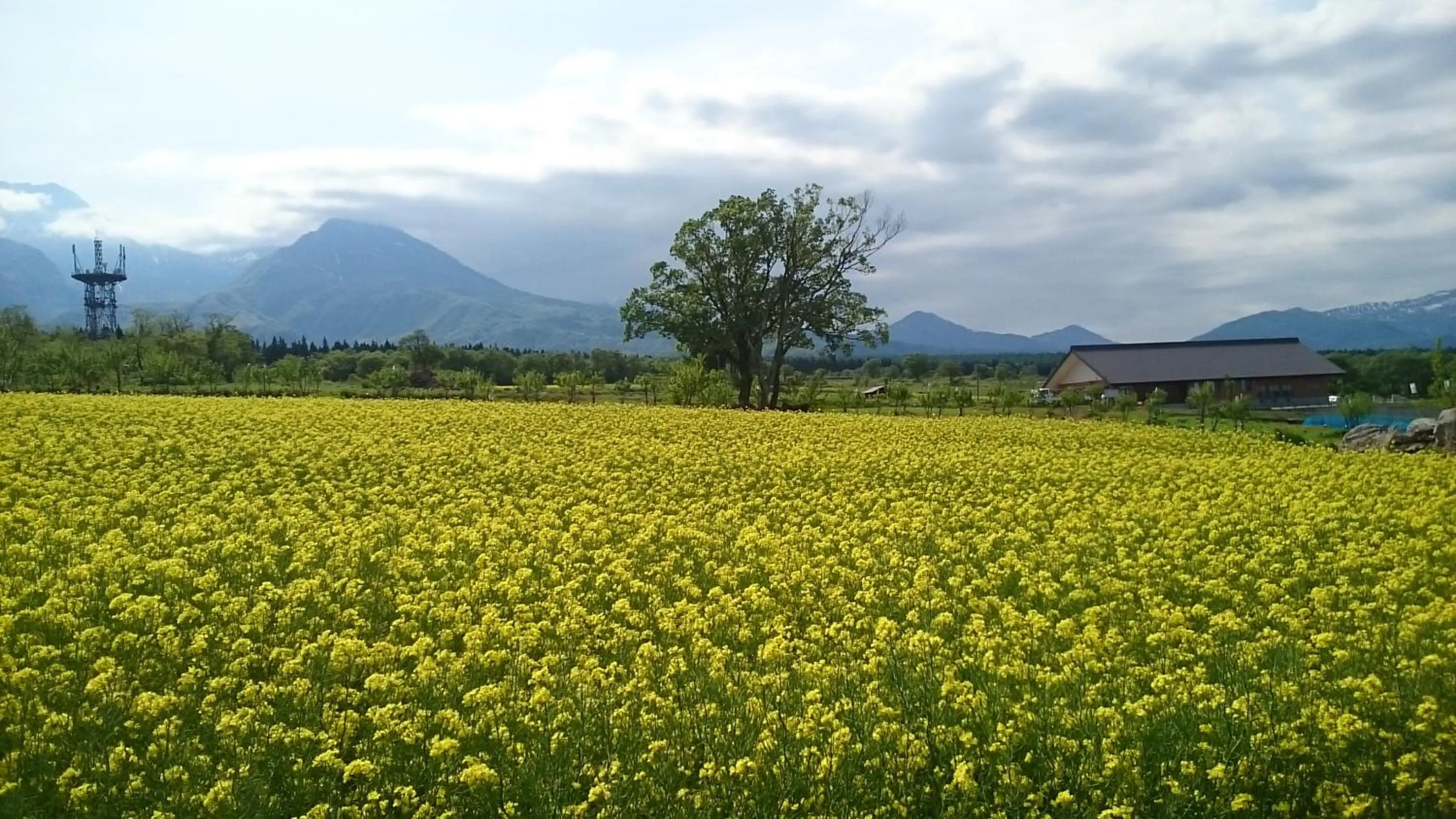 Spring in Lodge Amenouo