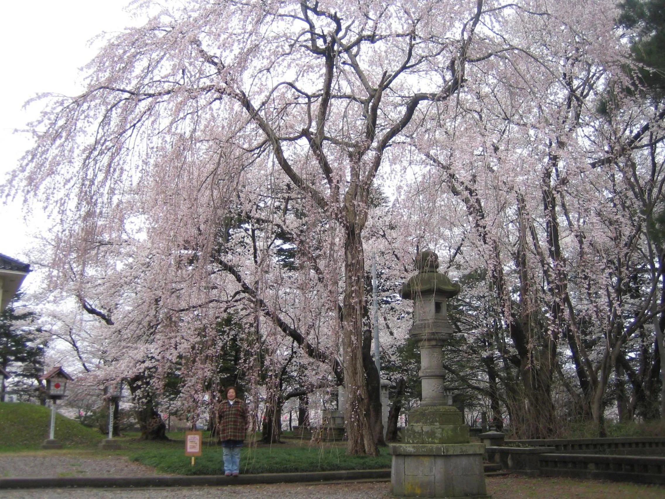 Nearby landmark in Lodge Amenouo