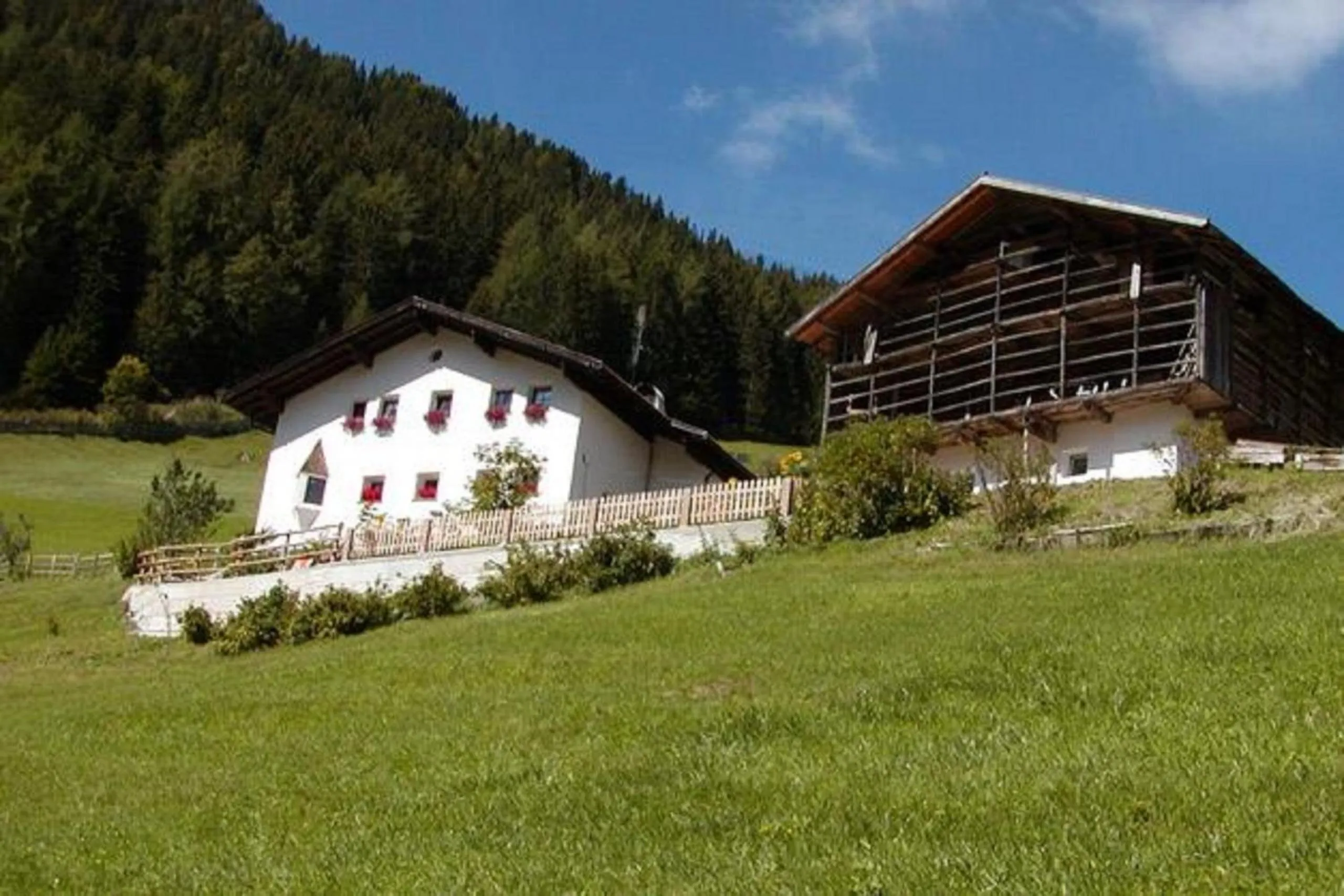 Other in Agriturismo Apartments Tuene