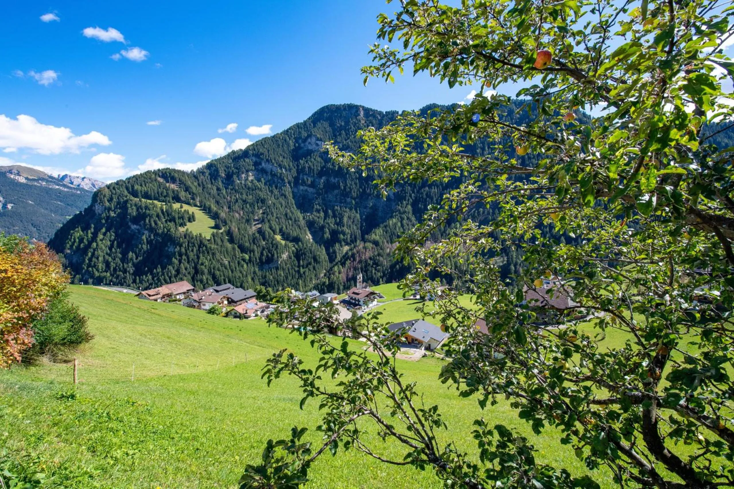 Agriturismo Apartments Tuene