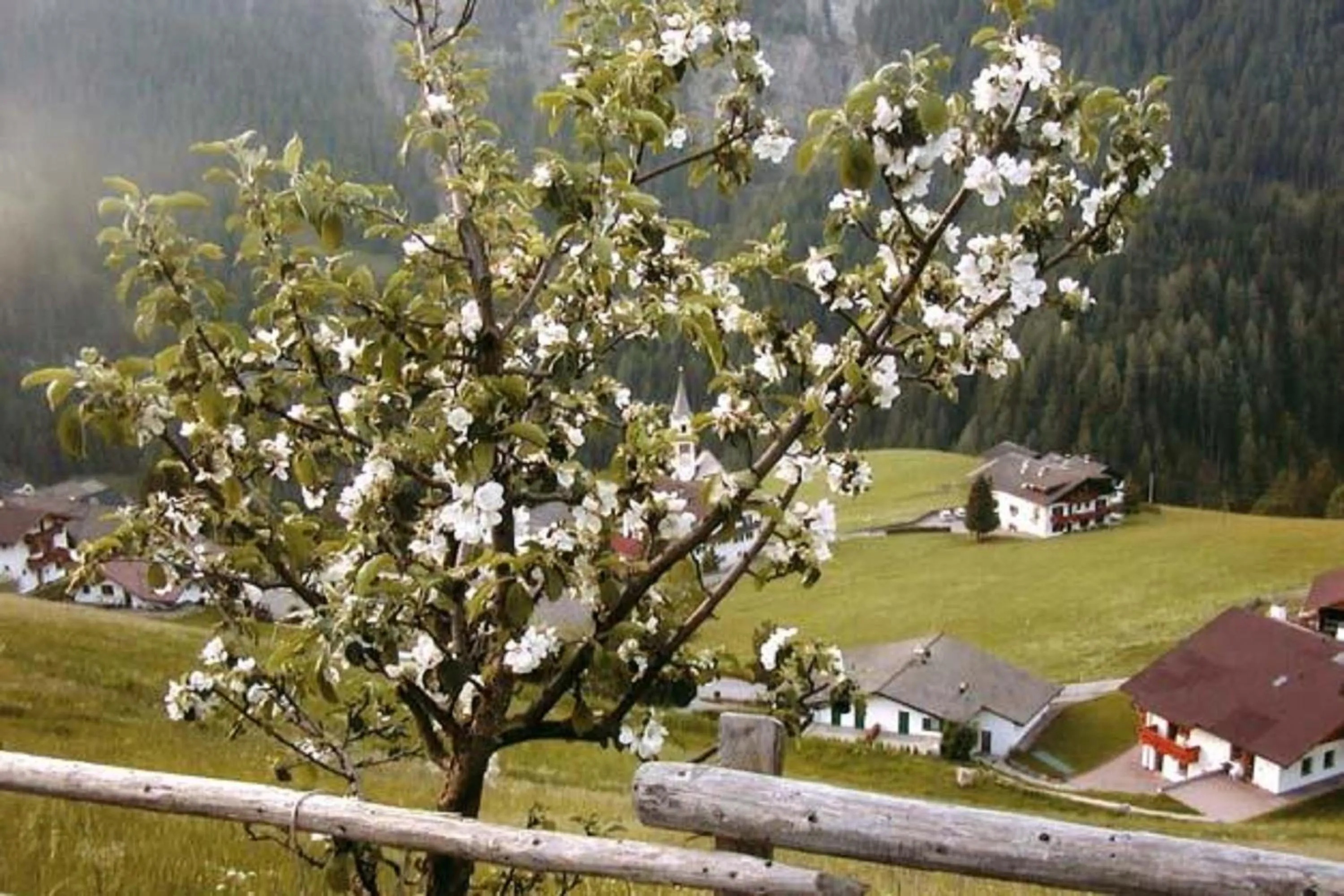 Mountain view in Agriturismo Apartments Tuene