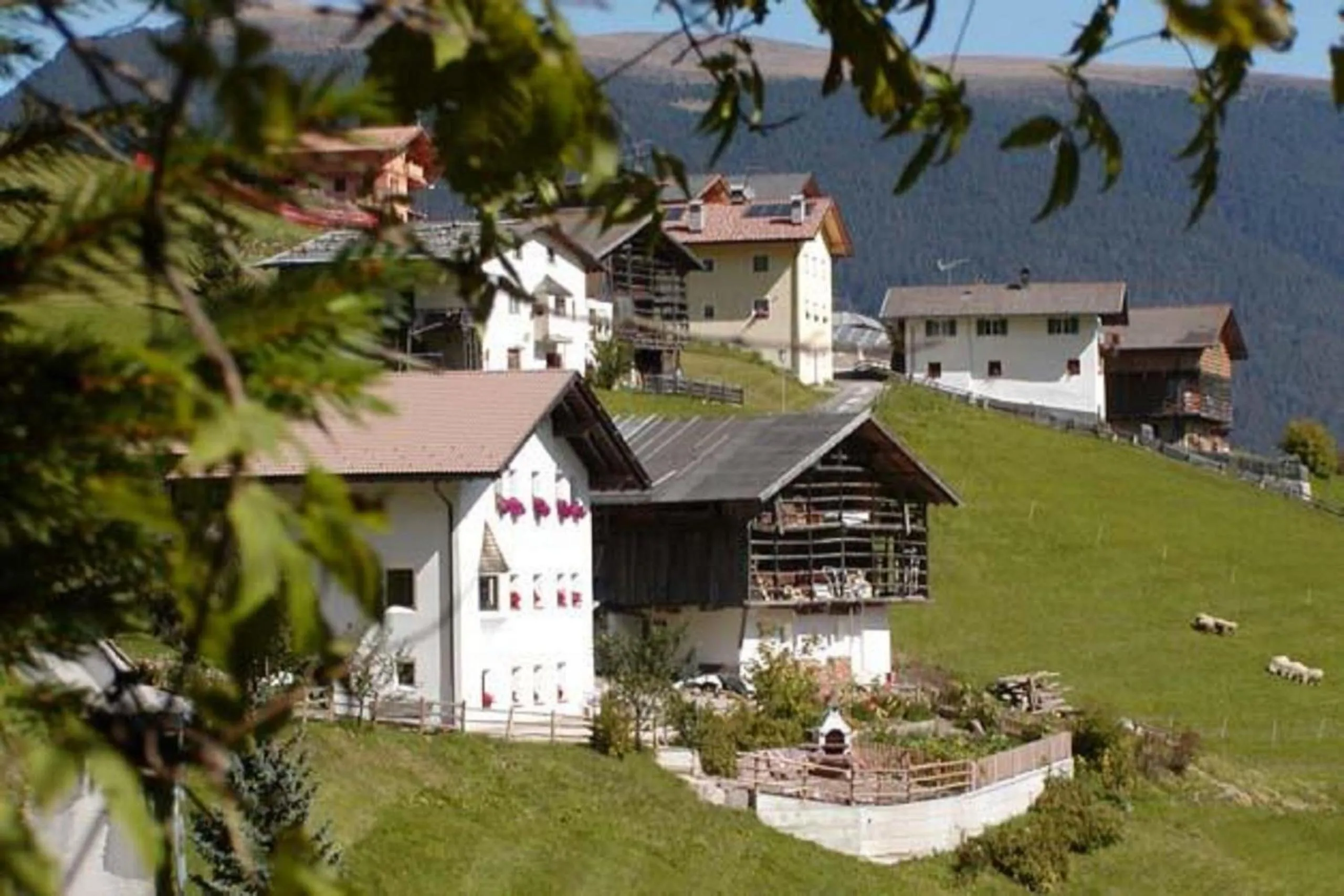 Other in Agriturismo Apartments Tuene