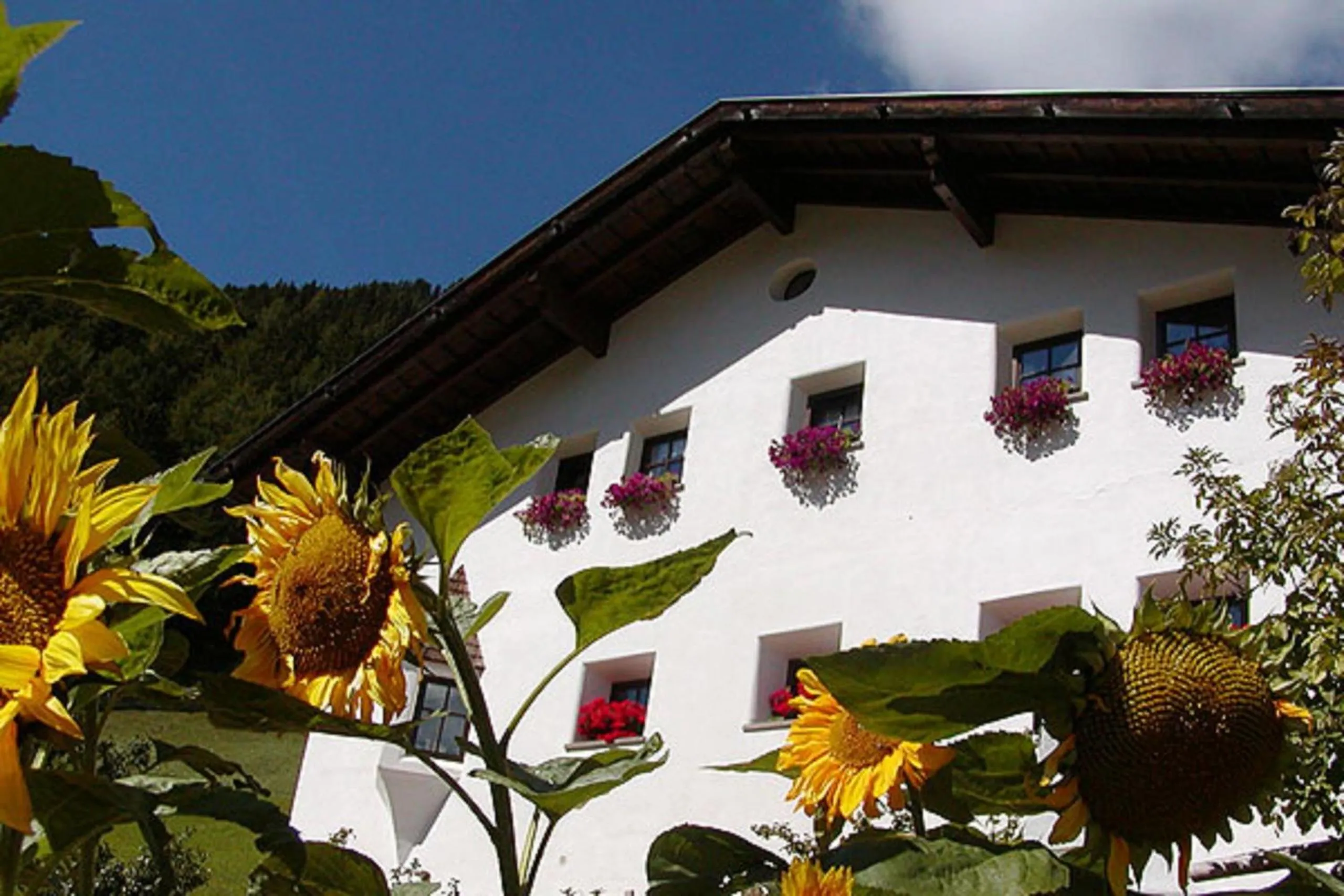 Other in Agriturismo Apartments Tuene