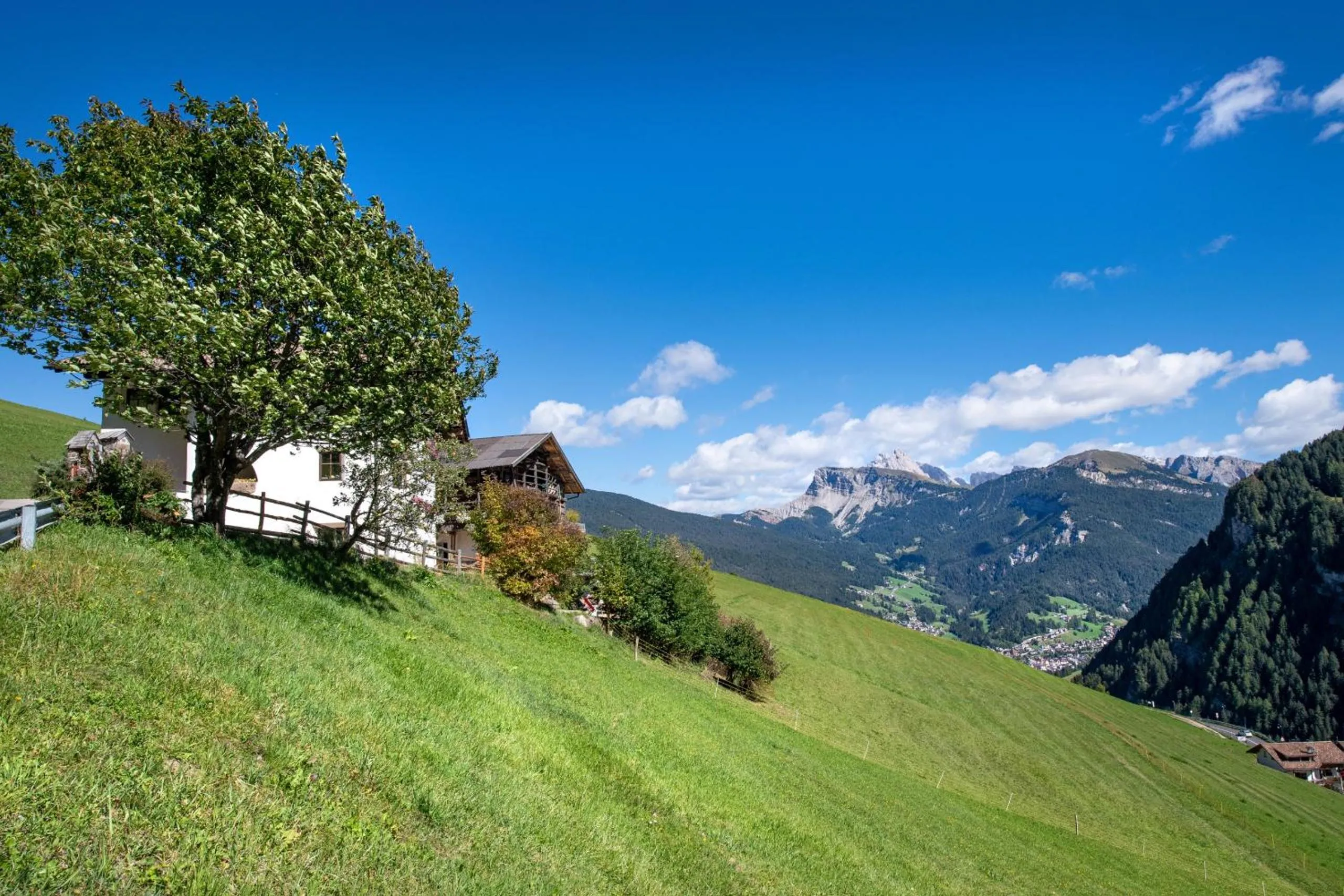 Agriturismo Apartments Tuene