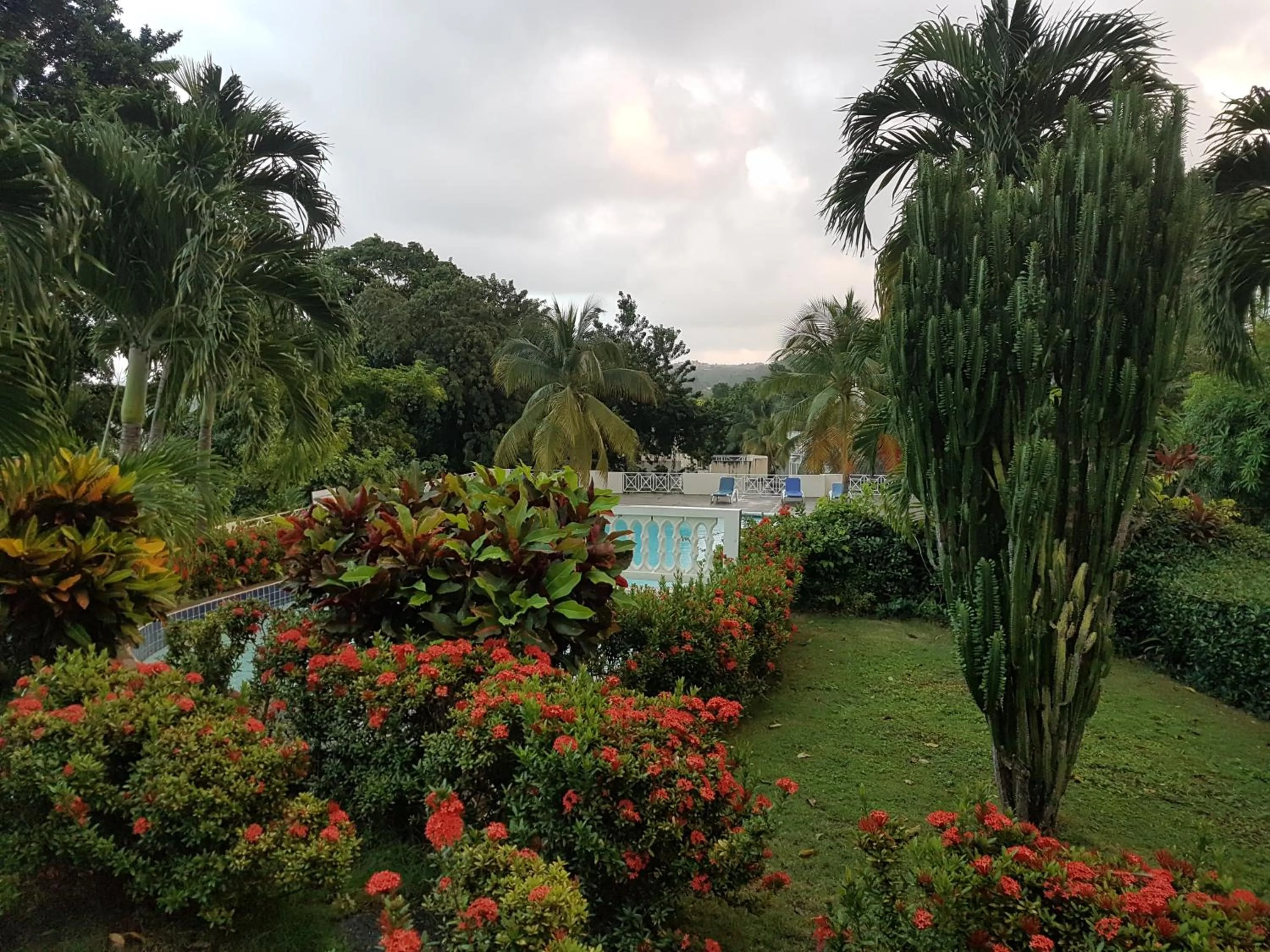 Garden in Skycastle Oasis