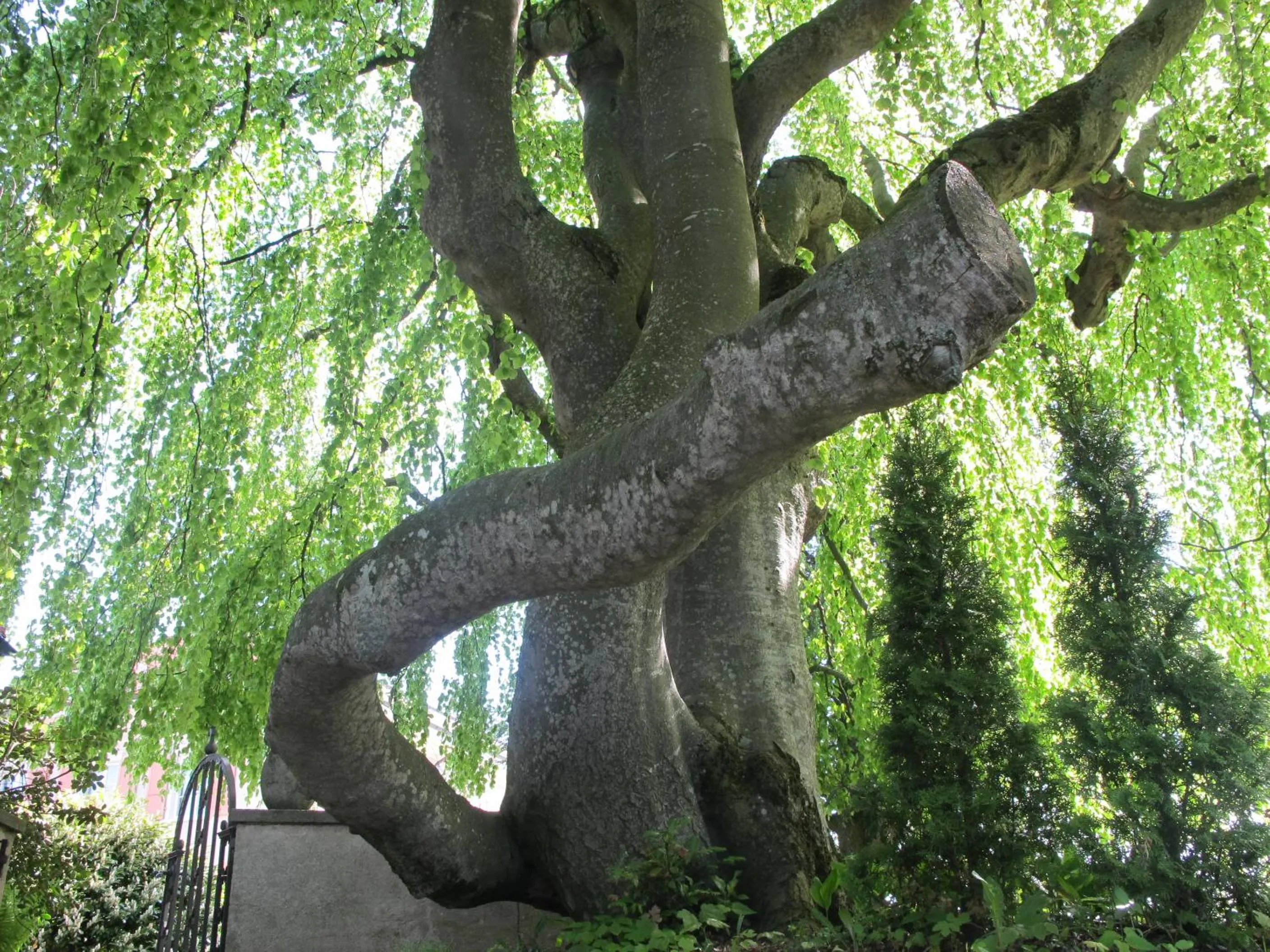 Property building in Burgbühl