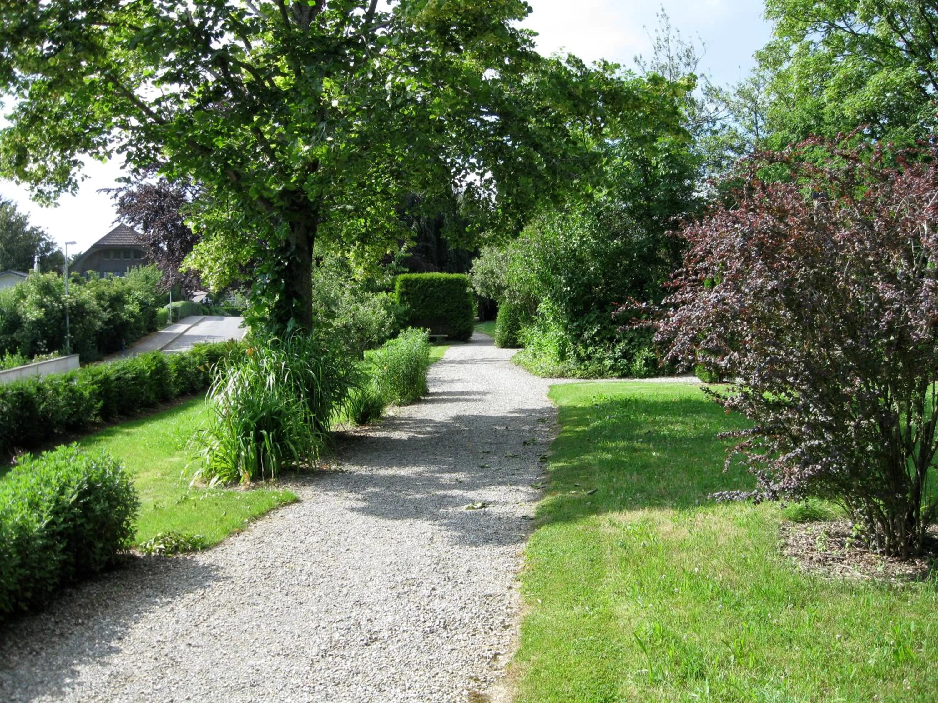 Natural landscape in Burgbühl