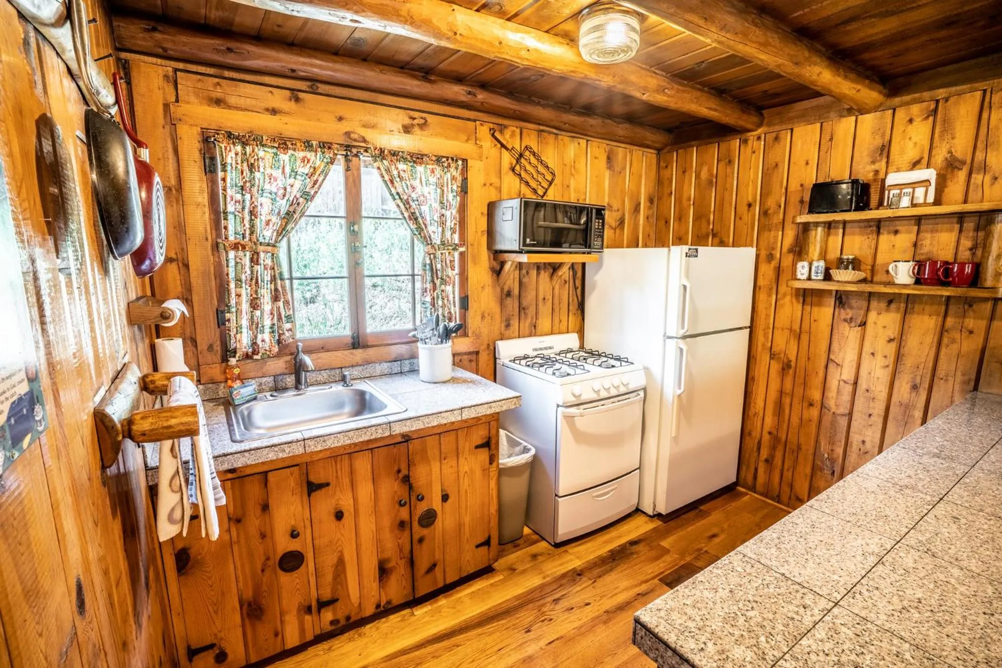 Kitchen or kitchenette in Colorado Bear Creek Cabins
