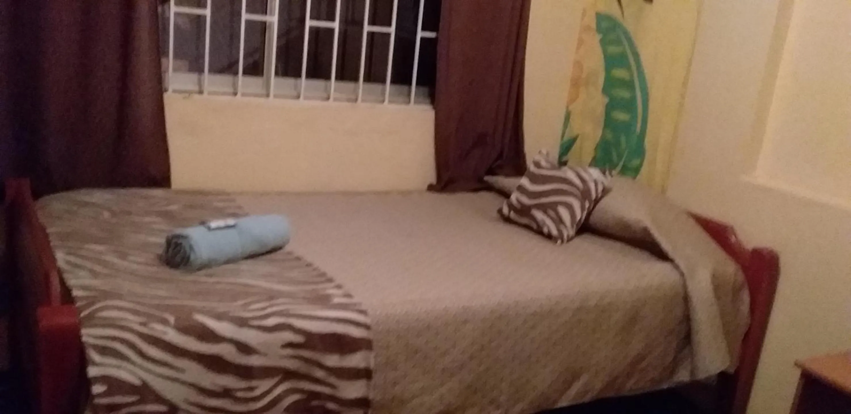 Standard Twin Room with Shared Bathroom in Hostal Tunquelen
