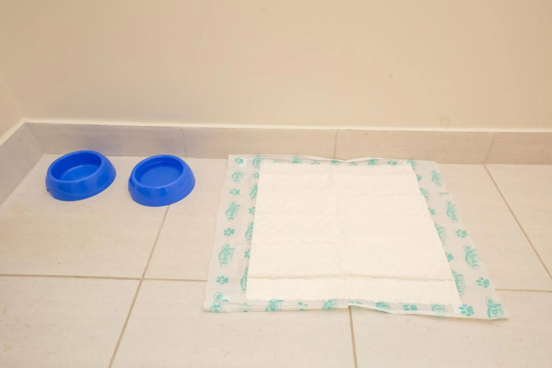 Go Inn Cambuí Campinas