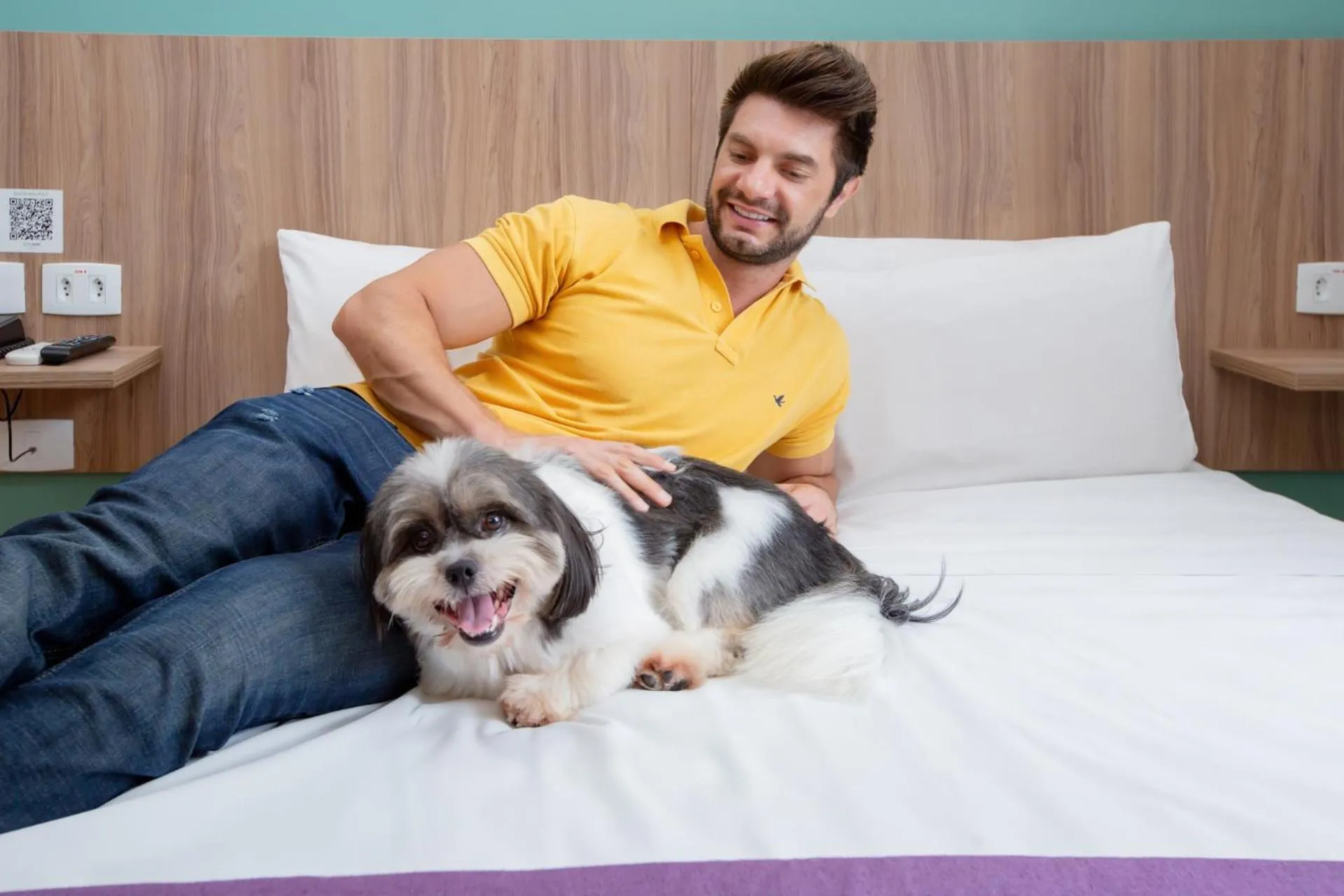 Pets in Go Inn Cambuí Campinas