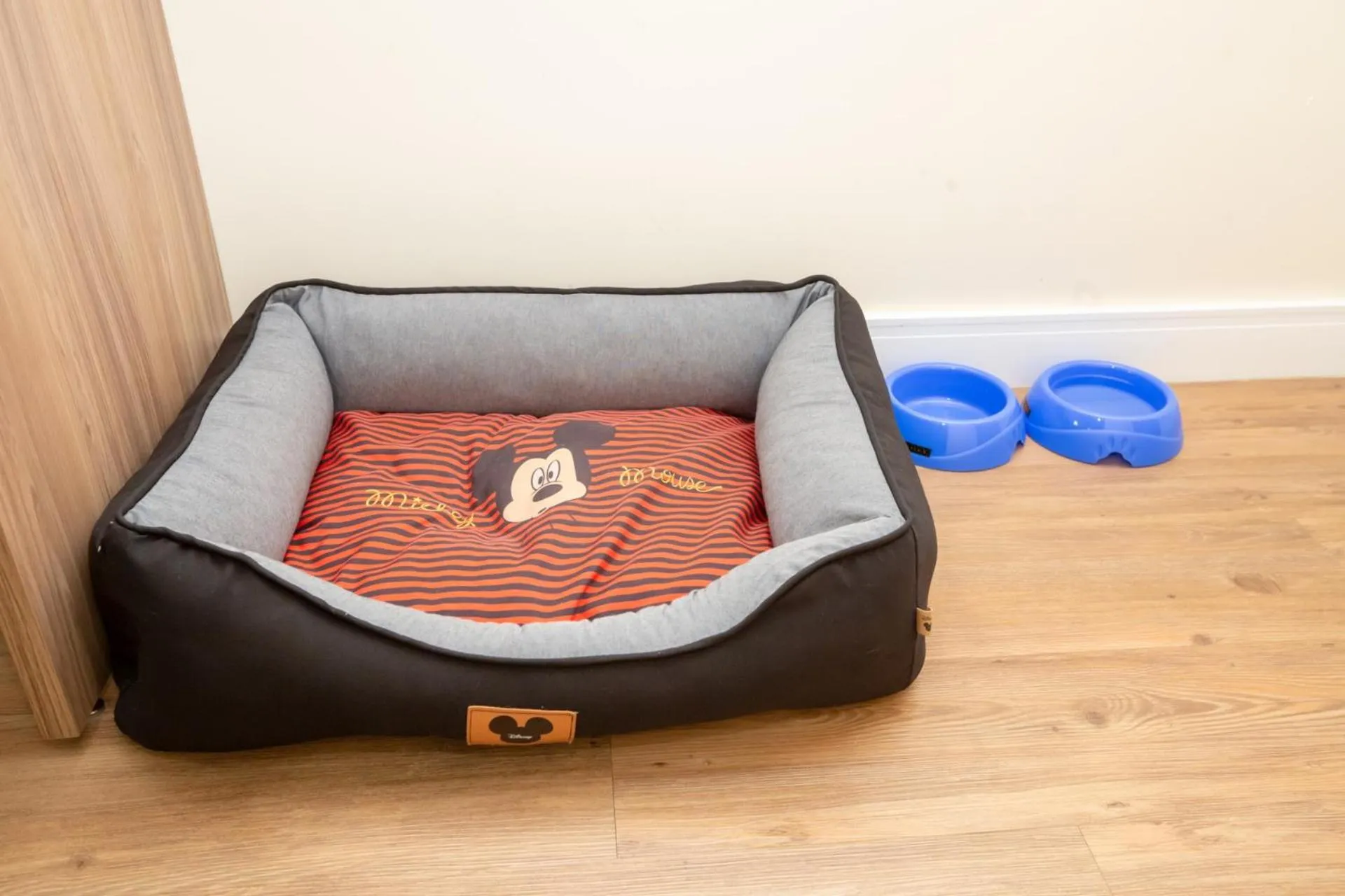 Pets in Go Inn Cambuí Campinas