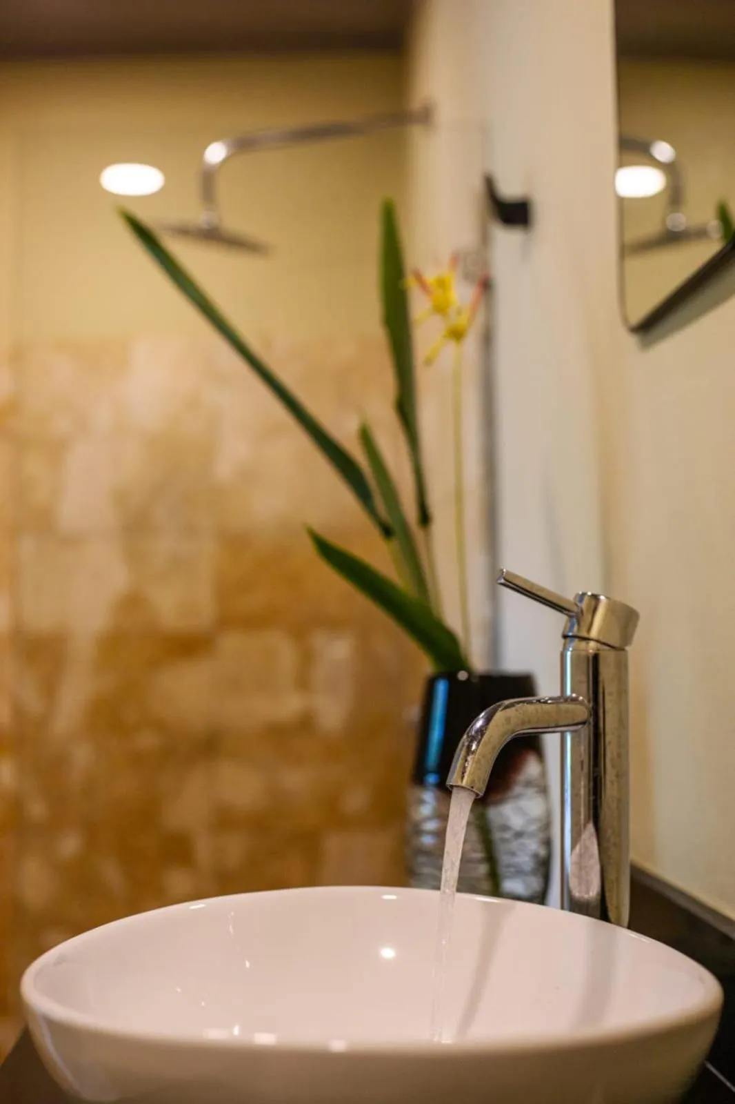 Hotel y Cabinas del Trópico