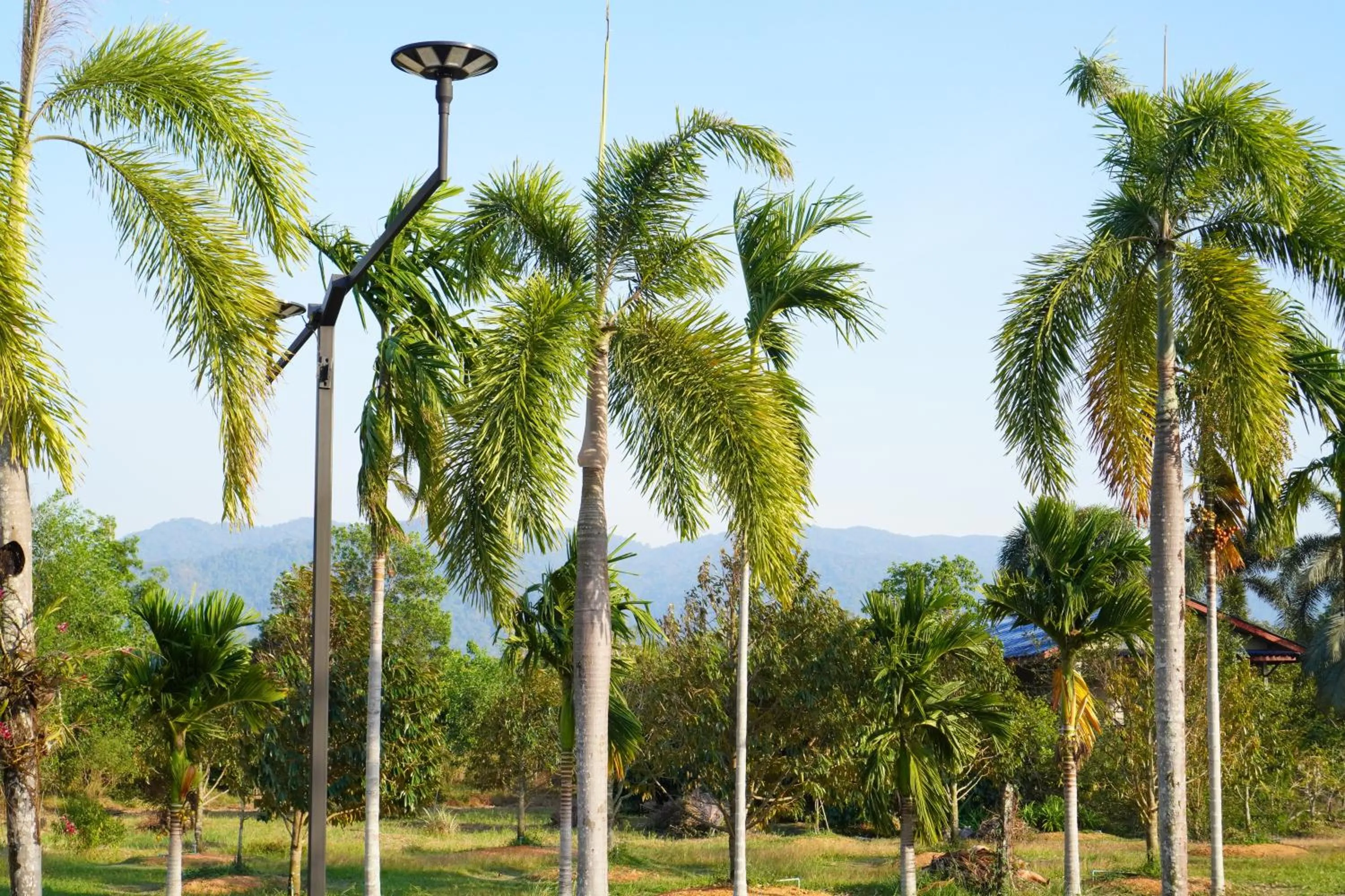 Natural landscape in IP Plus Resort Chanthaburia - Halal Hotel