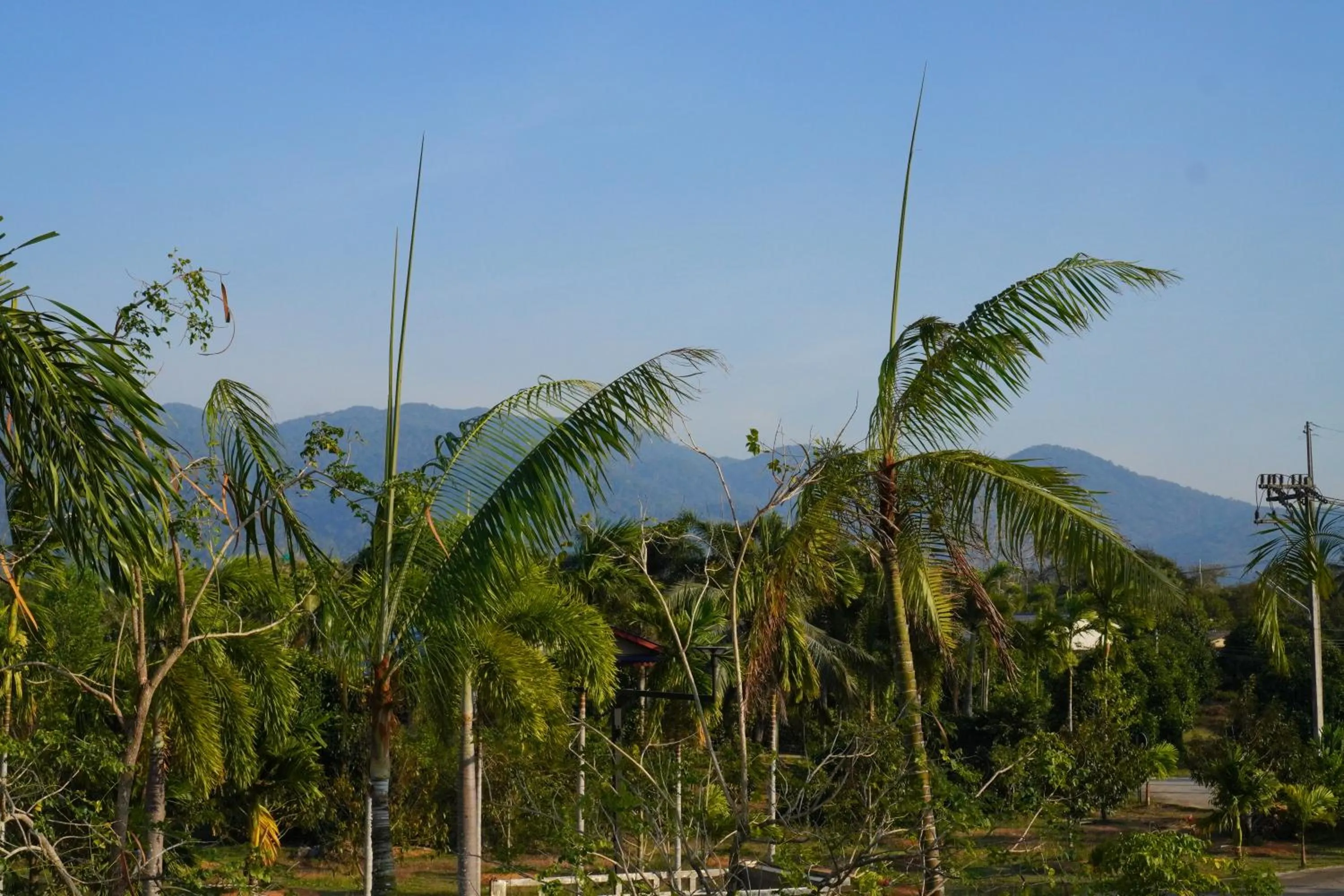 Natural landscape in IP Plus Resort Chanthaburia - Halal Hotel