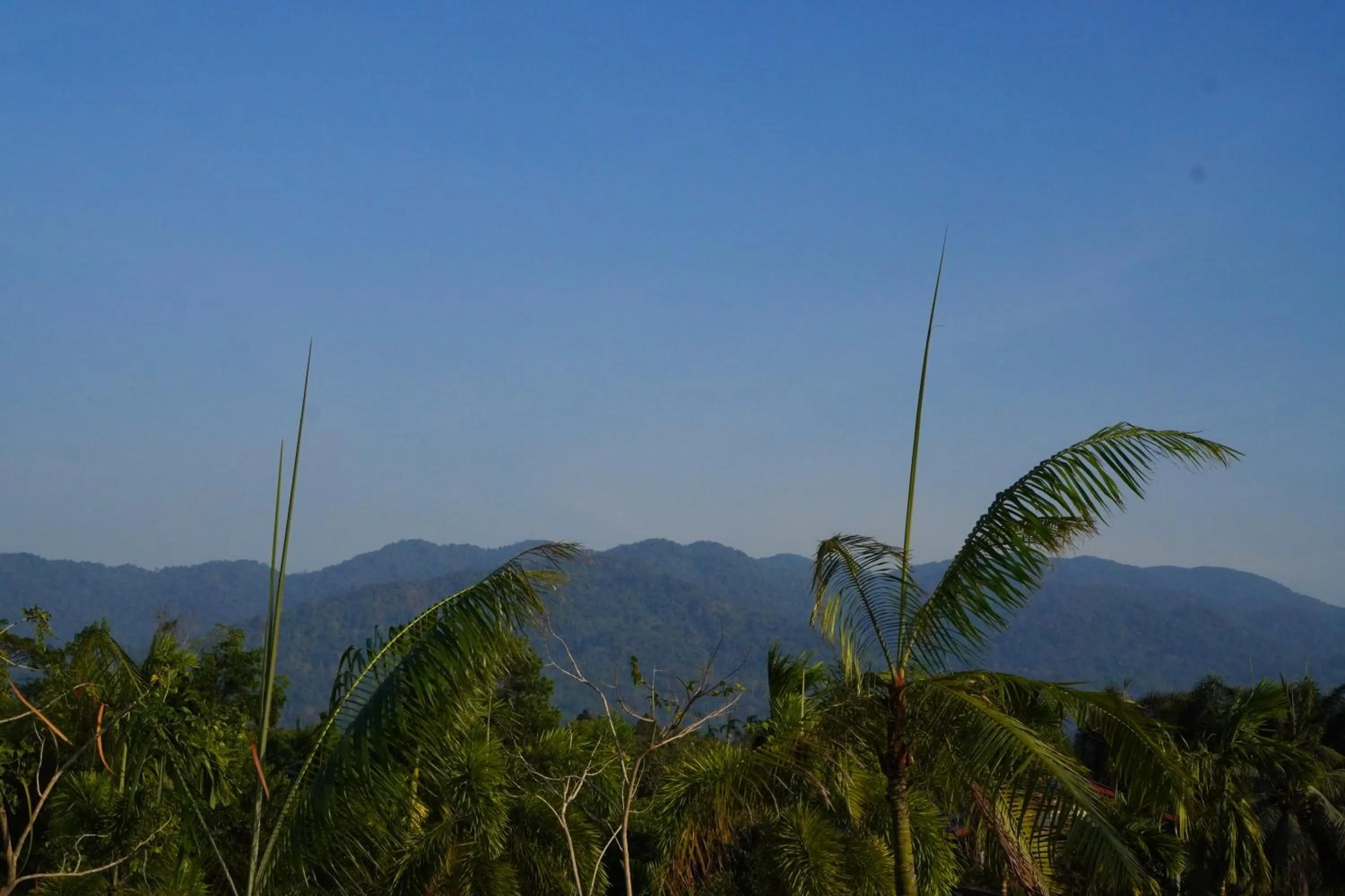 Natural landscape in IP Plus Resort Chanthaburia - Halal Hotel