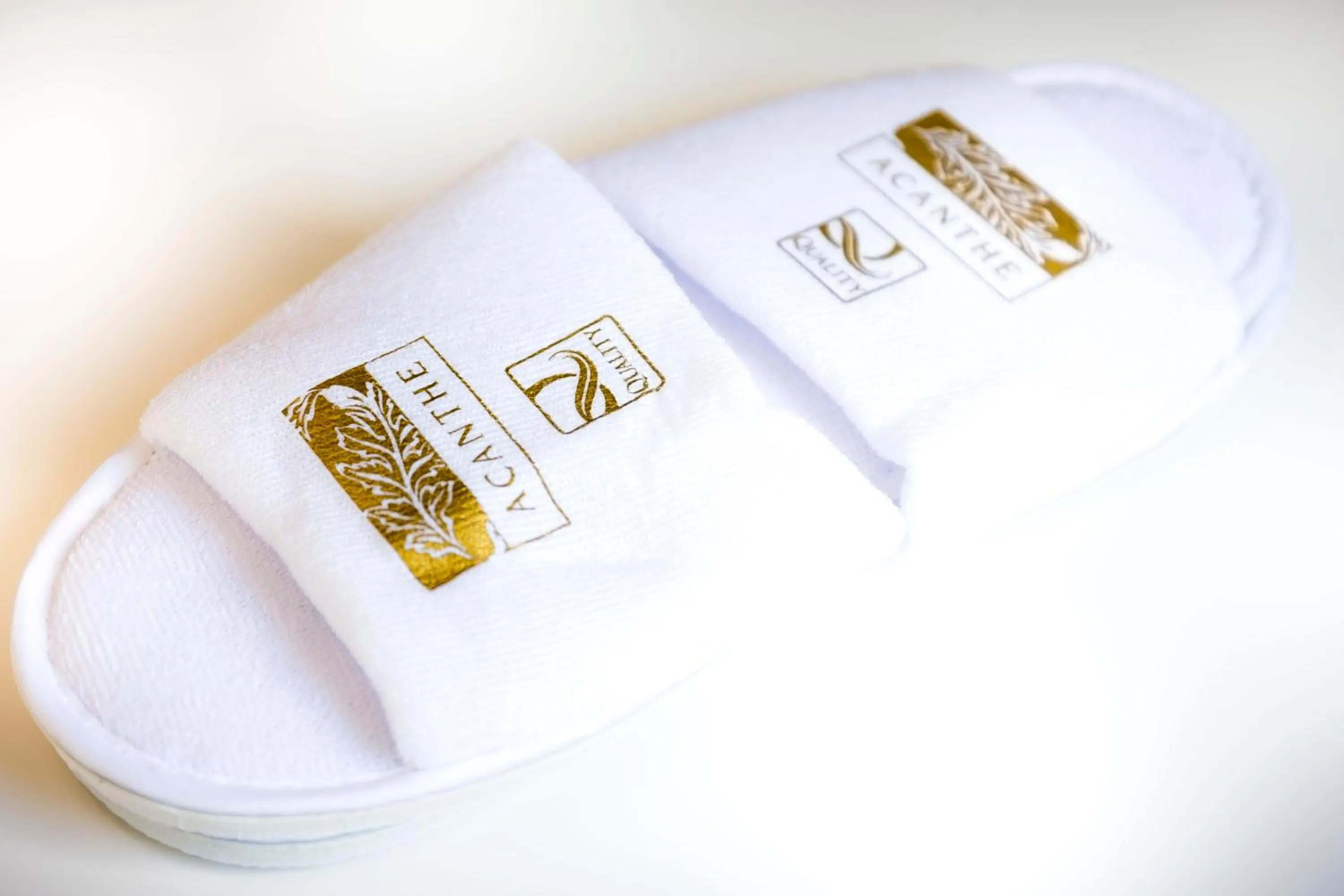 Property logo or sign in Hotel Acanthe - Boulogne Billancourt