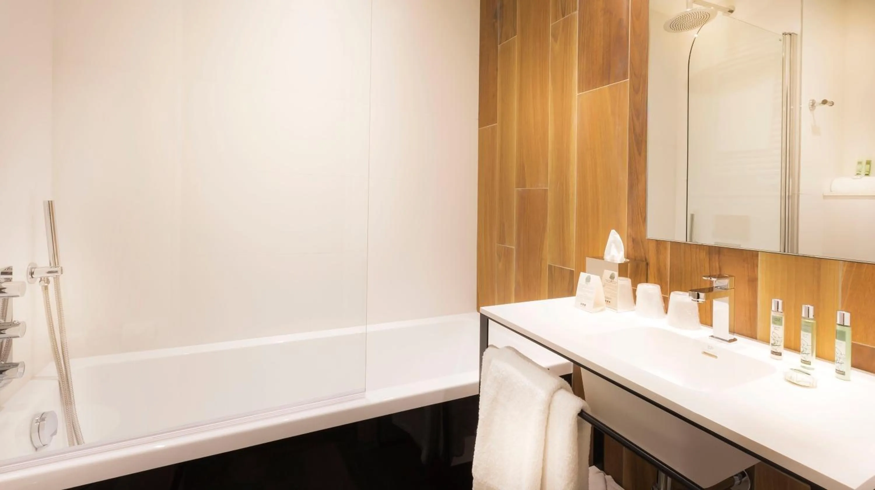 Bathroom in Hotel Acanthe - Boulogne Billancourt