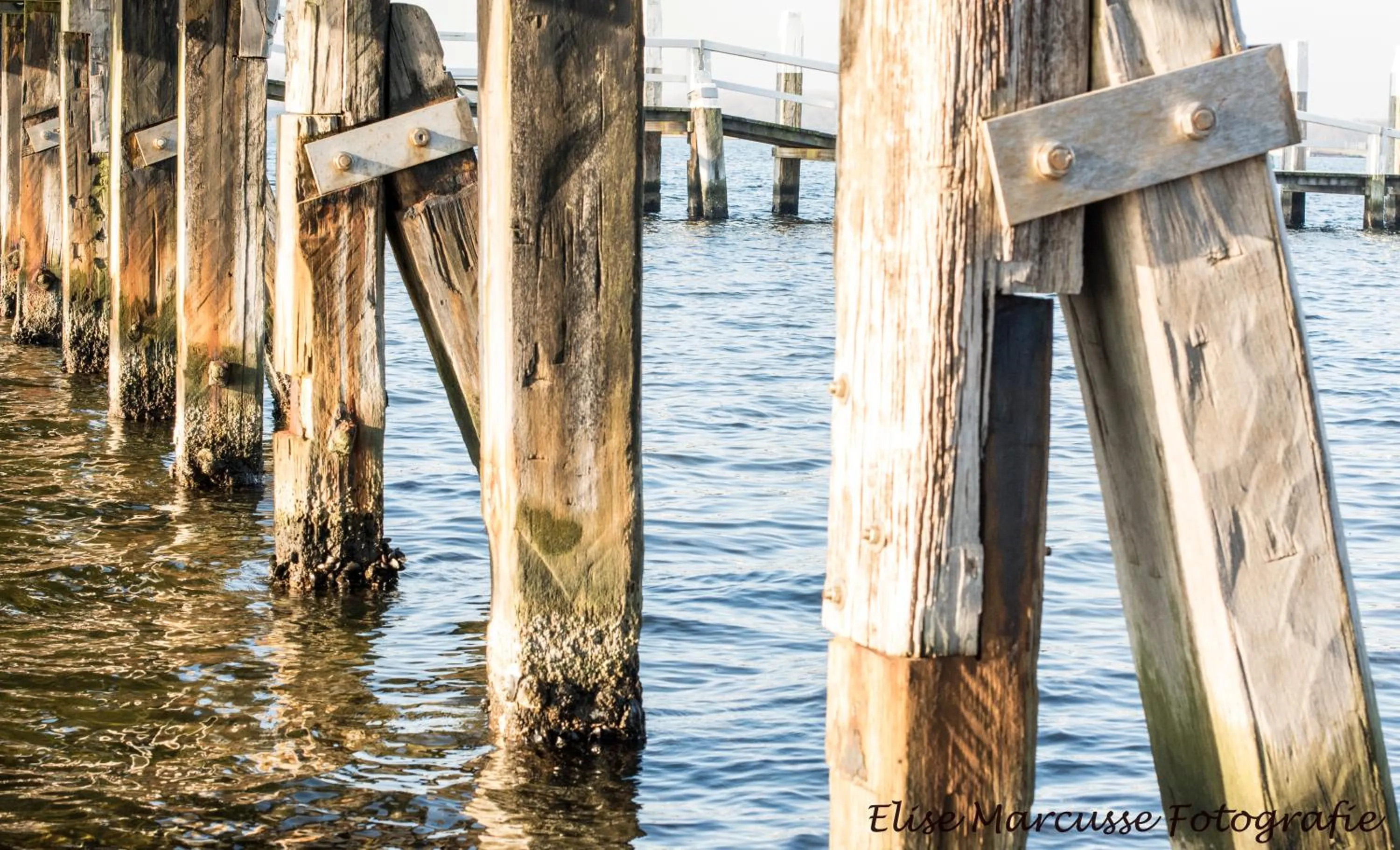 Lake view in Hoeve Hofwijk