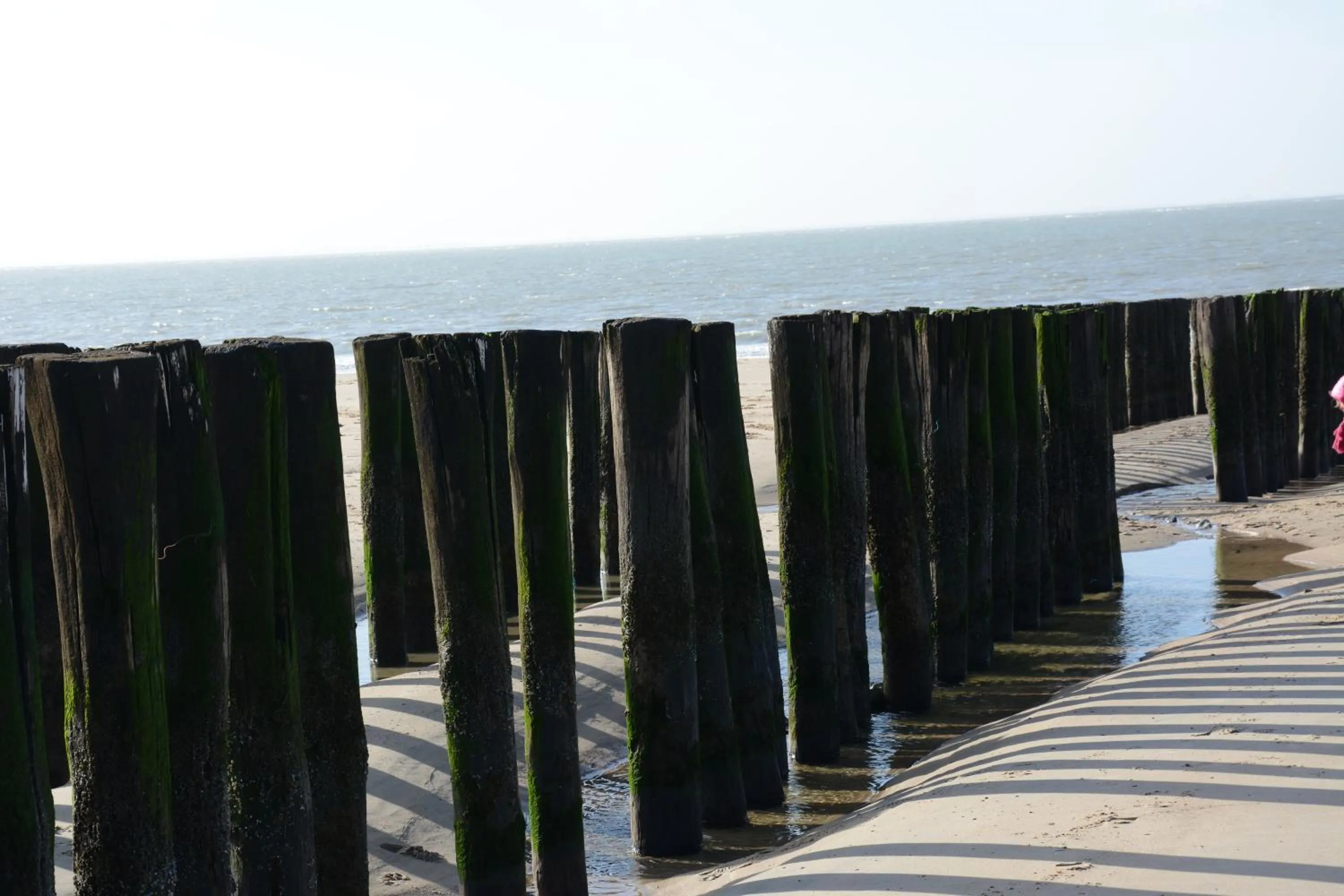 Beach in Hoeve Hofwijk