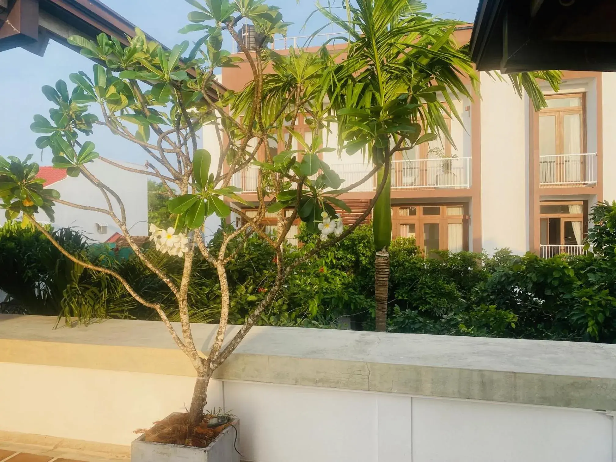 Property building in Hotel Cloud 9 Negombo Property building in Hotel Cloud 9 Negombo