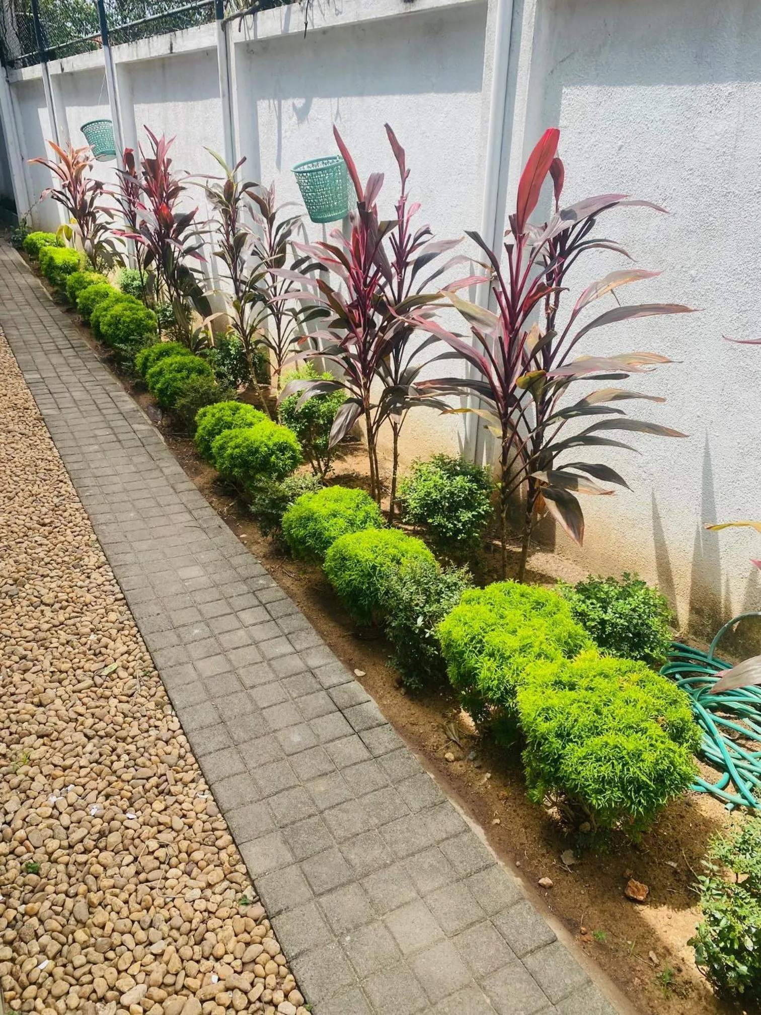 Garden in Hotel Cloud 9 Negombo