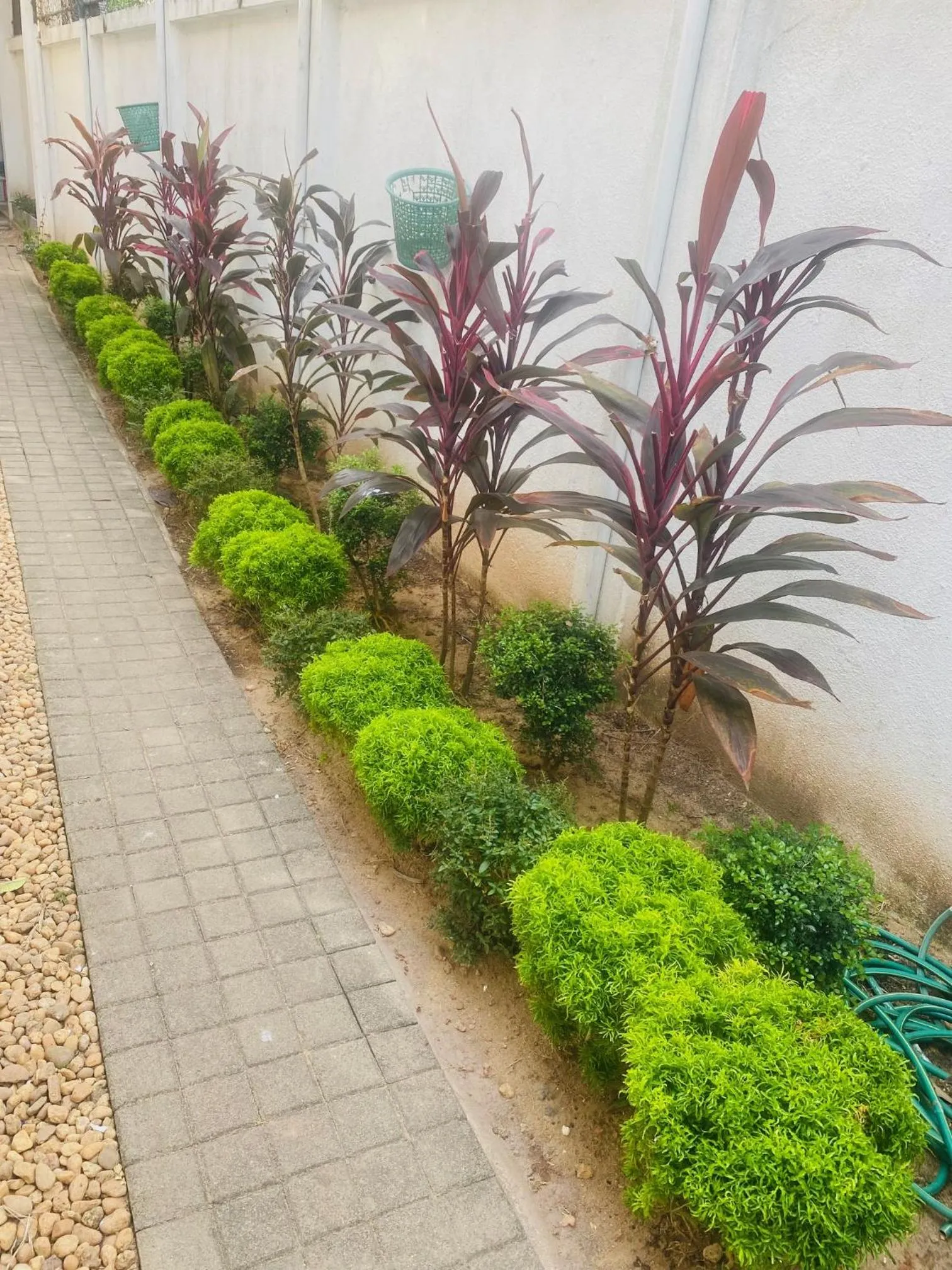 Garden in Hotel Cloud 9 Negombo