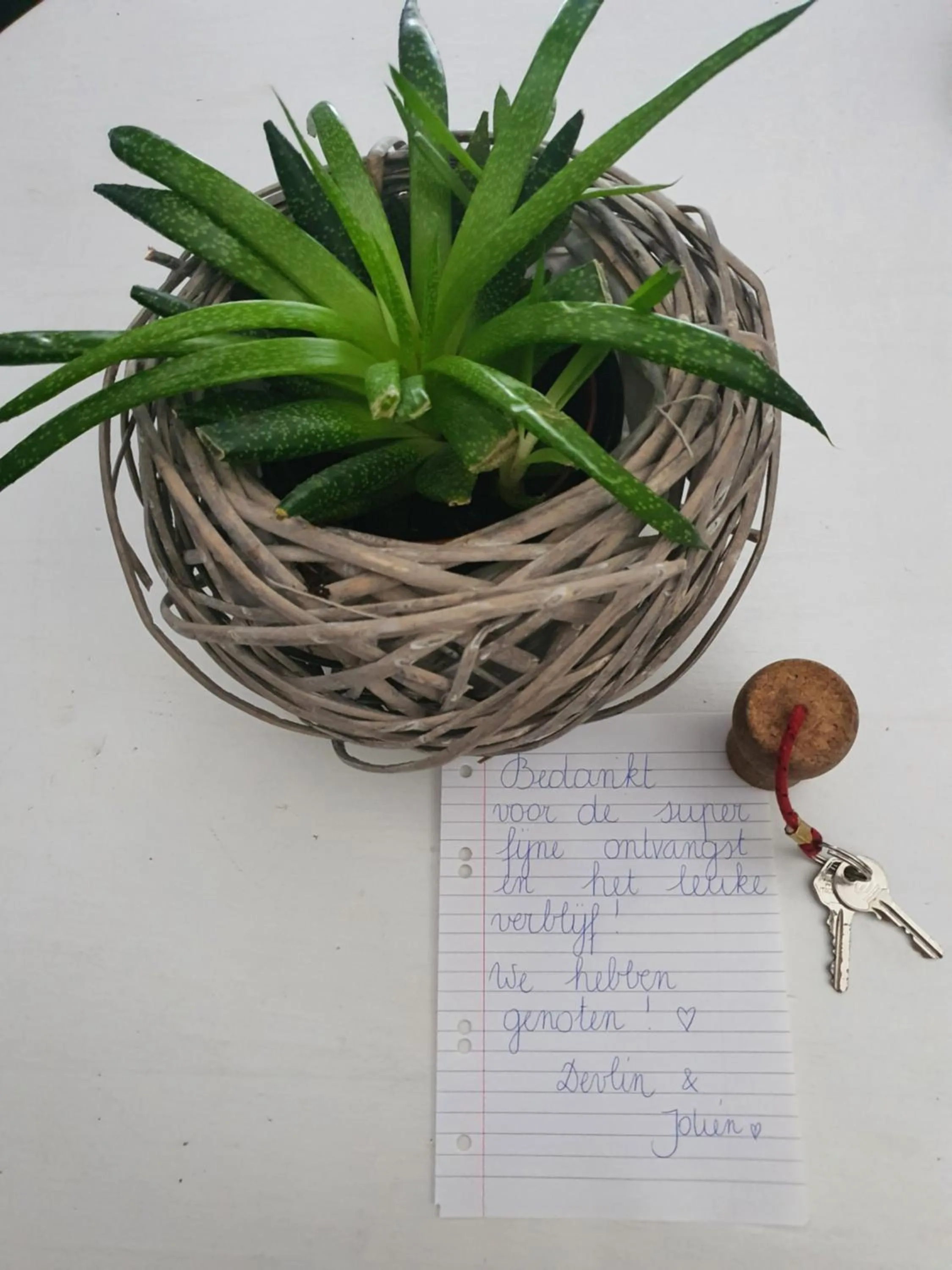 Bluebeach Scheveningen