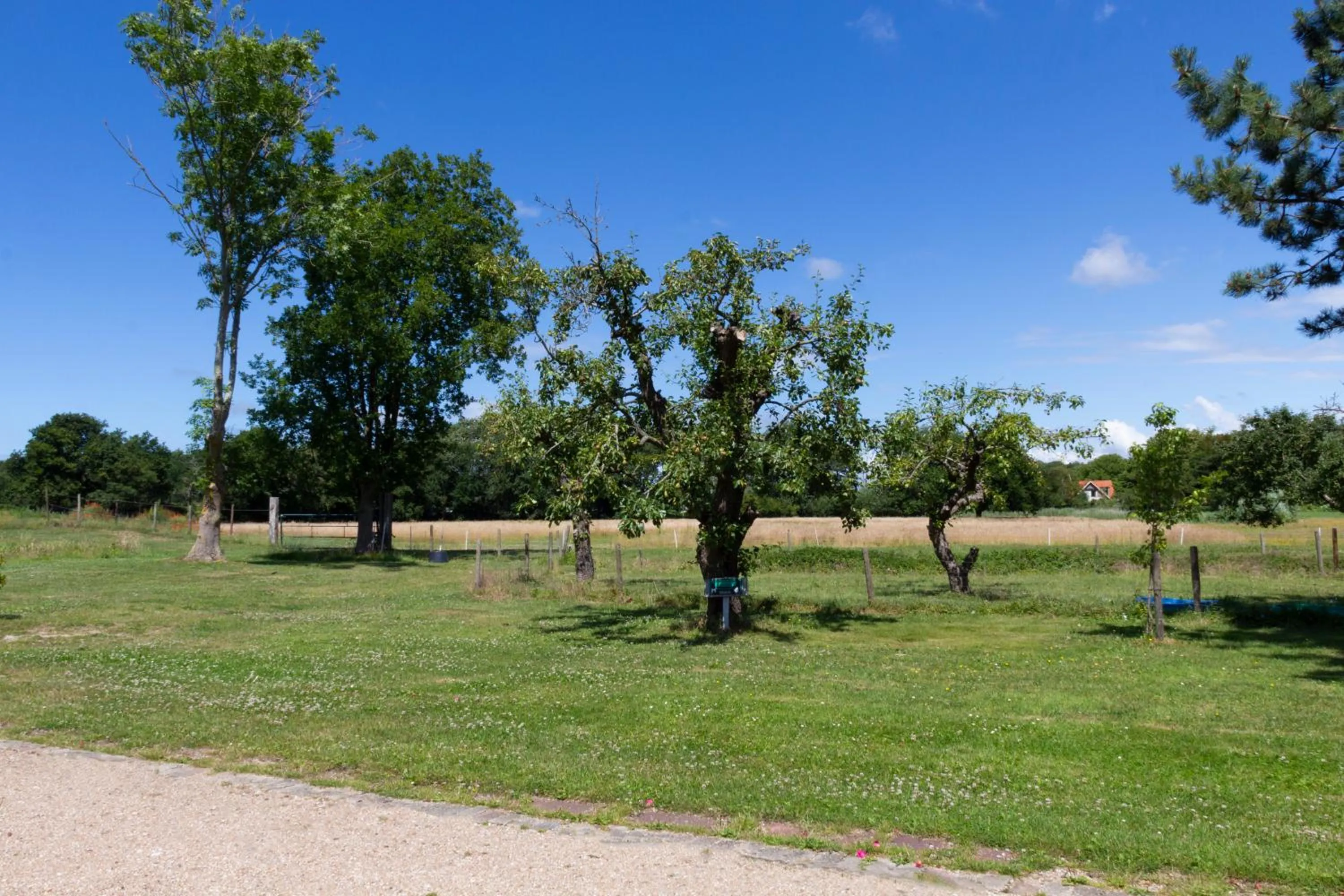 Little Creek - Lodges in het natuurgebied