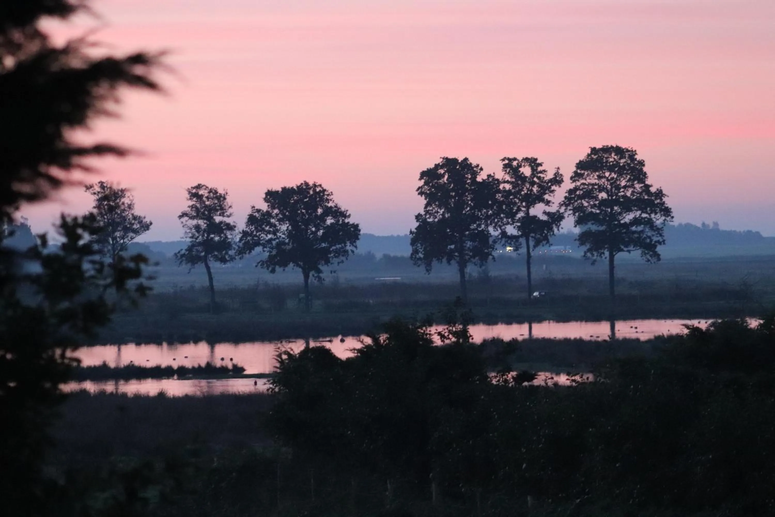 Little Creek - Lodges in het natuurgebied