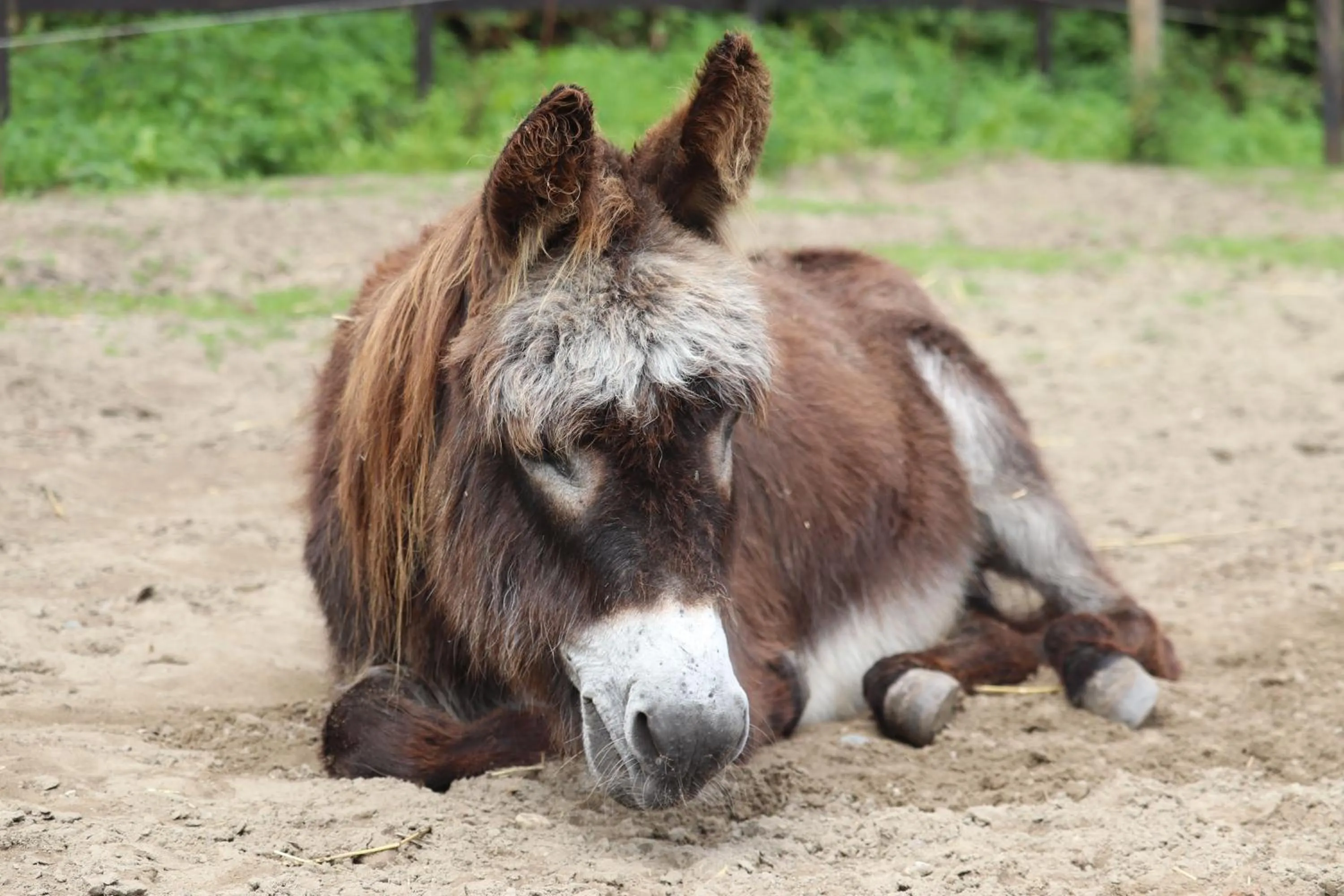 Little Creek - Lodges in het natuurgebied