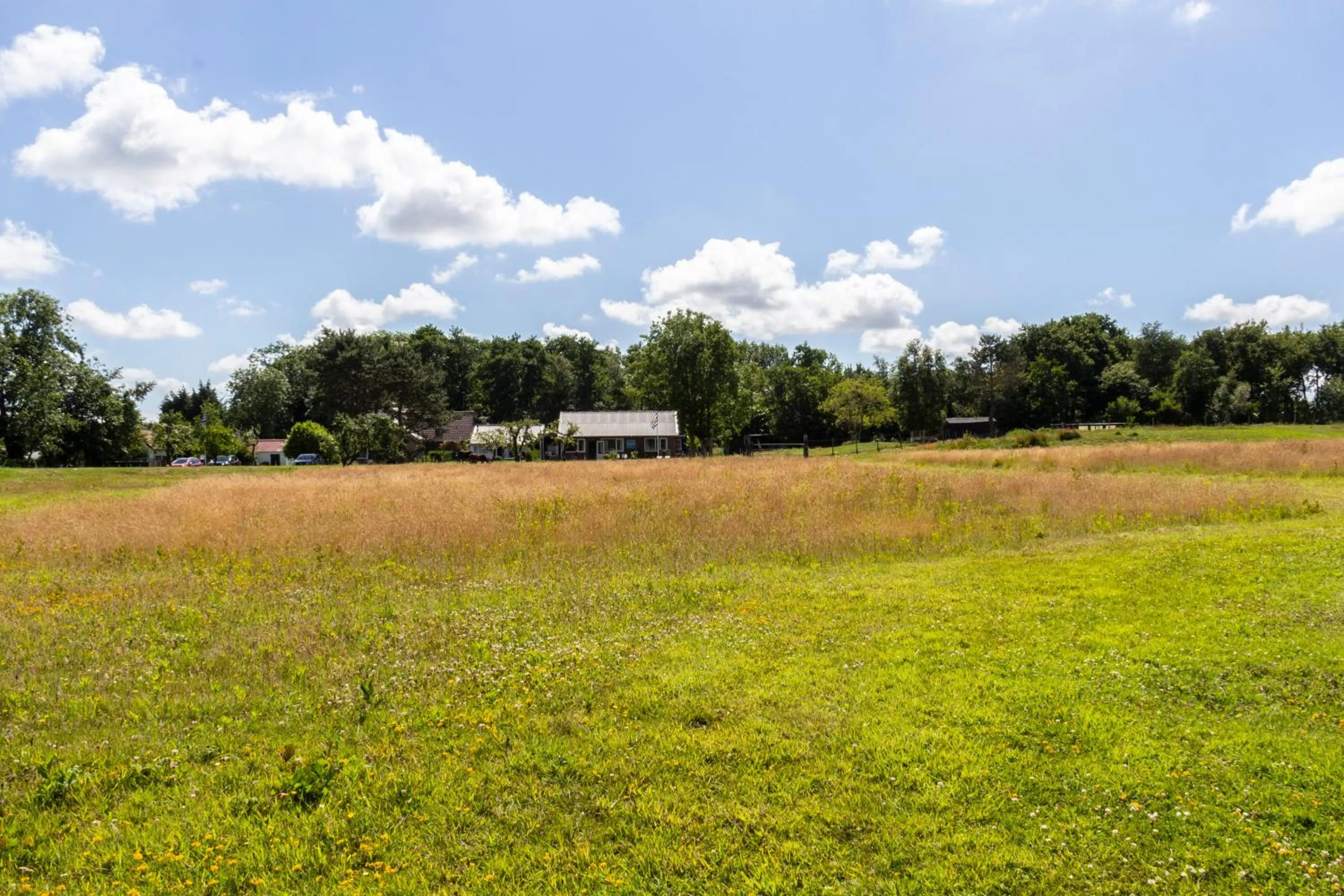 Little Creek - Lodges in het natuurgebied