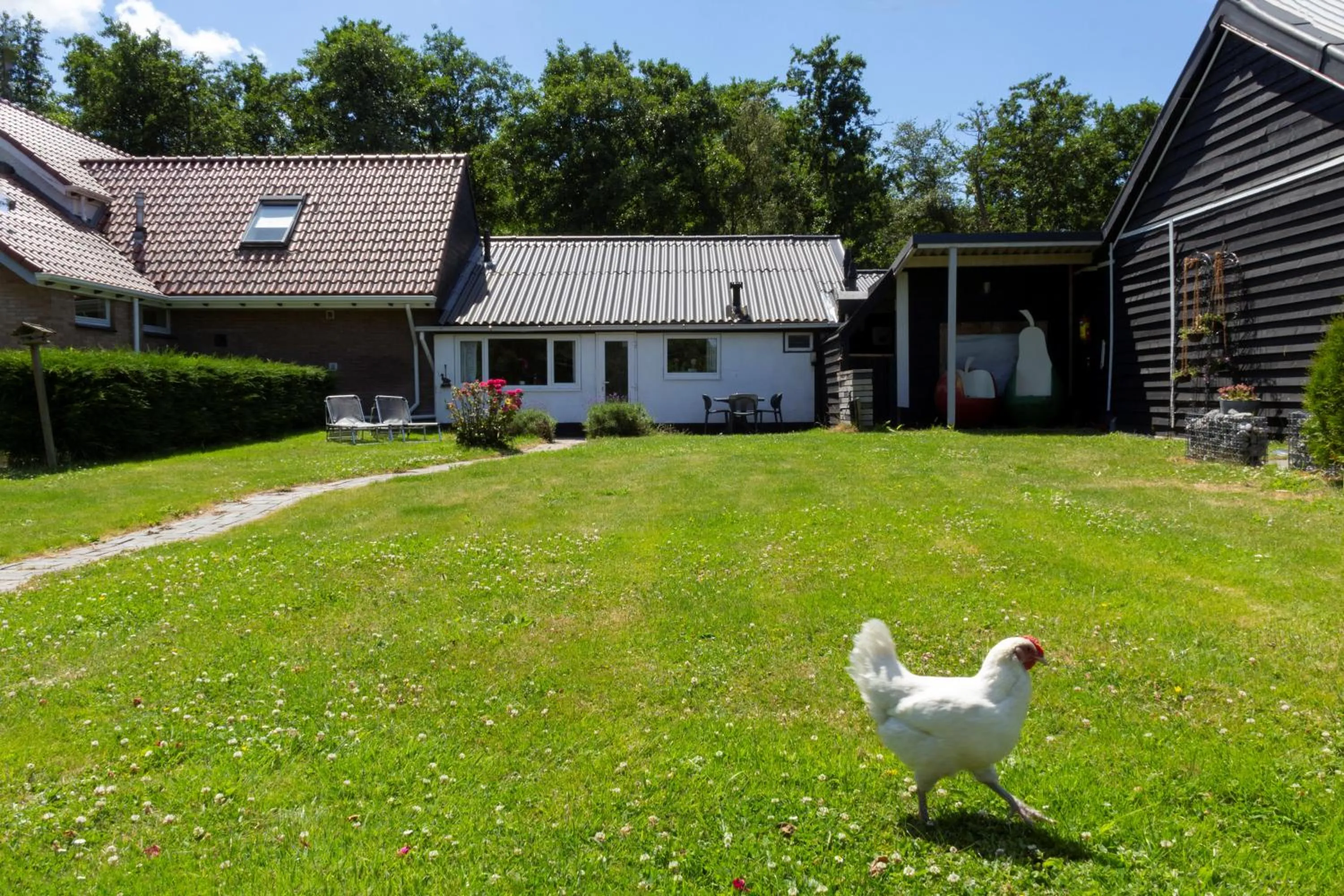 Little Creek - Lodges in het natuurgebied
