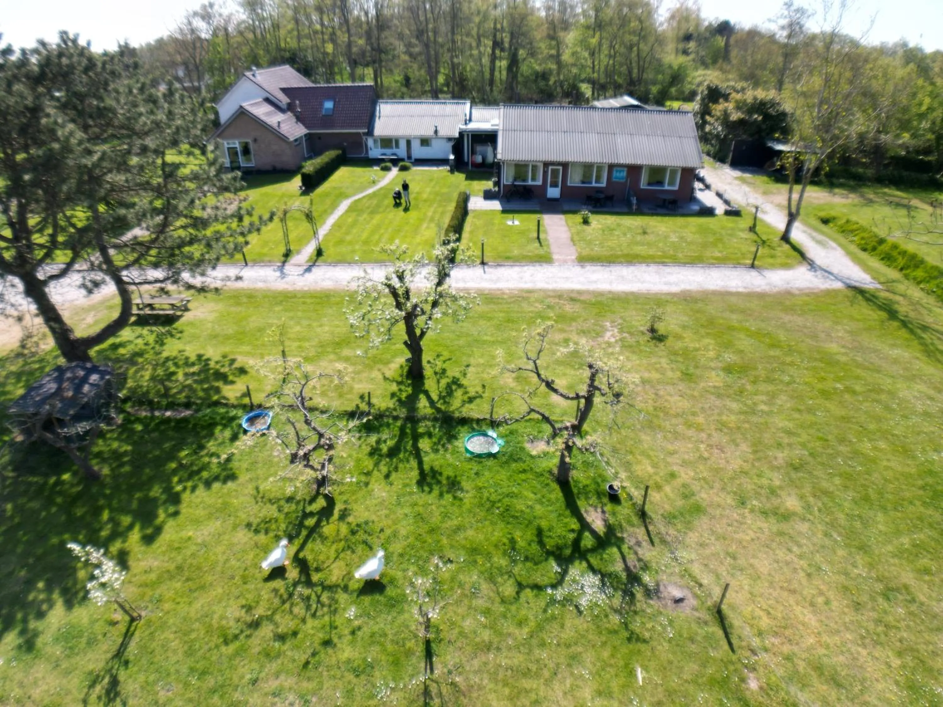 Little Creek - Lodges in het natuurgebied