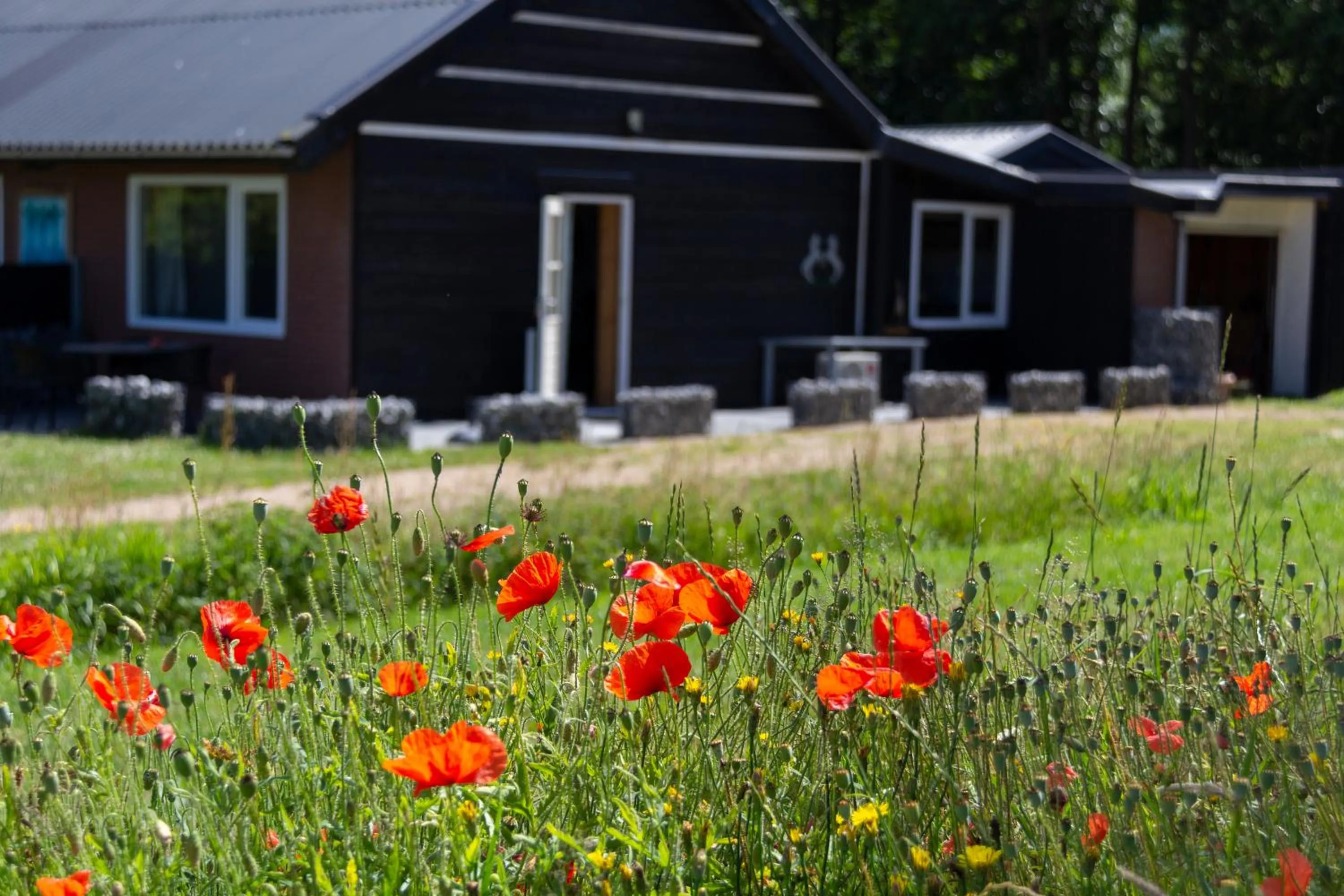 Little Creek - Lodges in het natuurgebied