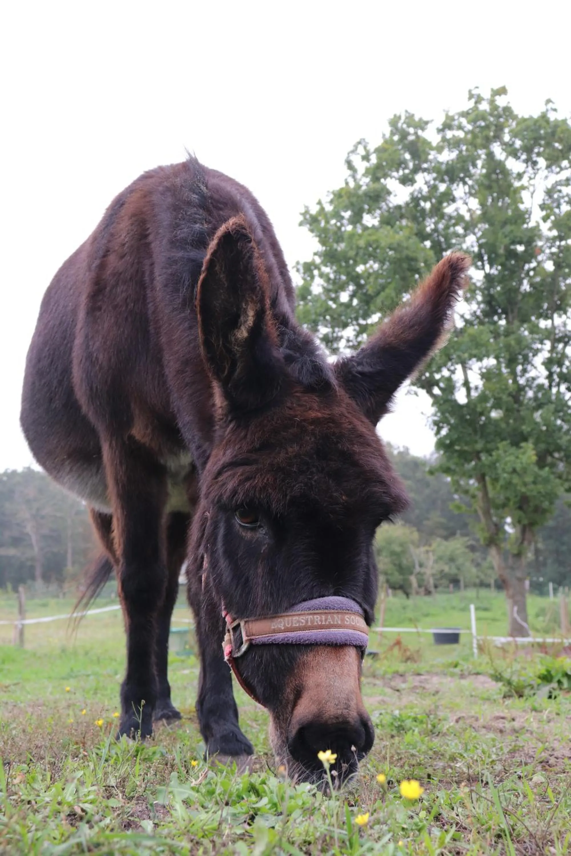 Little Creek - Lodges in het natuurgebied