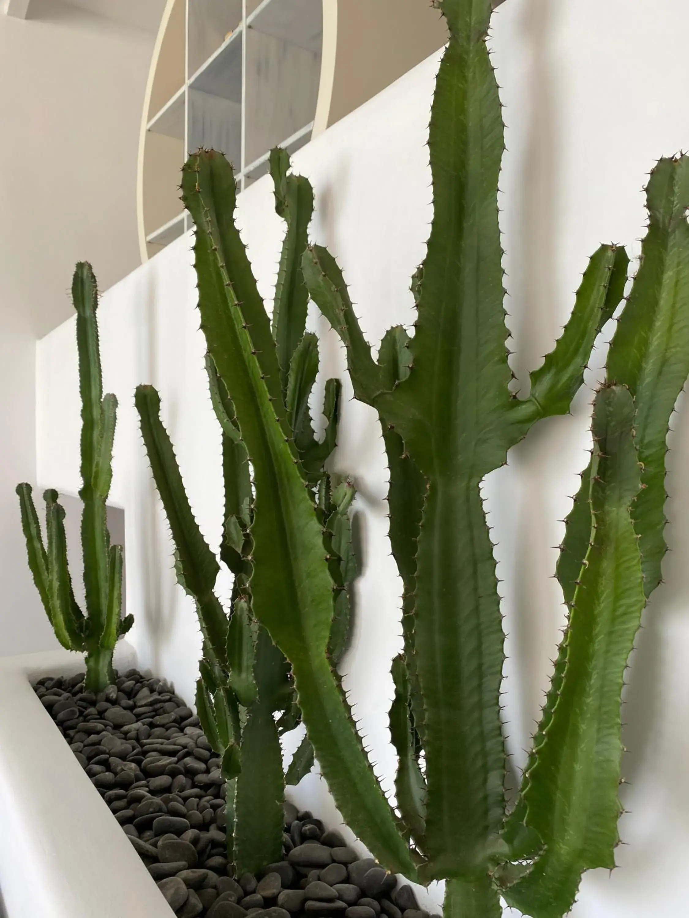 Property building in Absolute Mykonos Suites & More Property building in Absolute Mykonos Suites & More