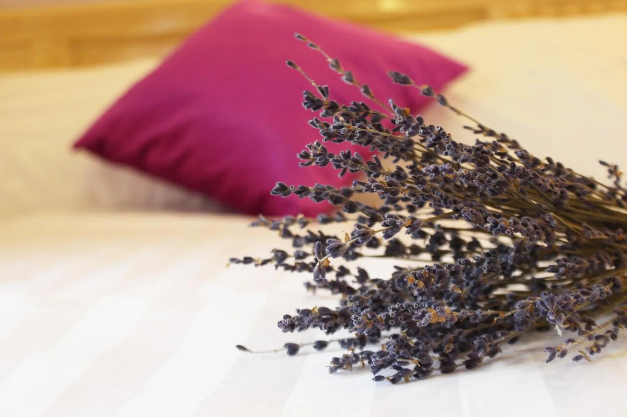Decorative detail in Lavender Tim