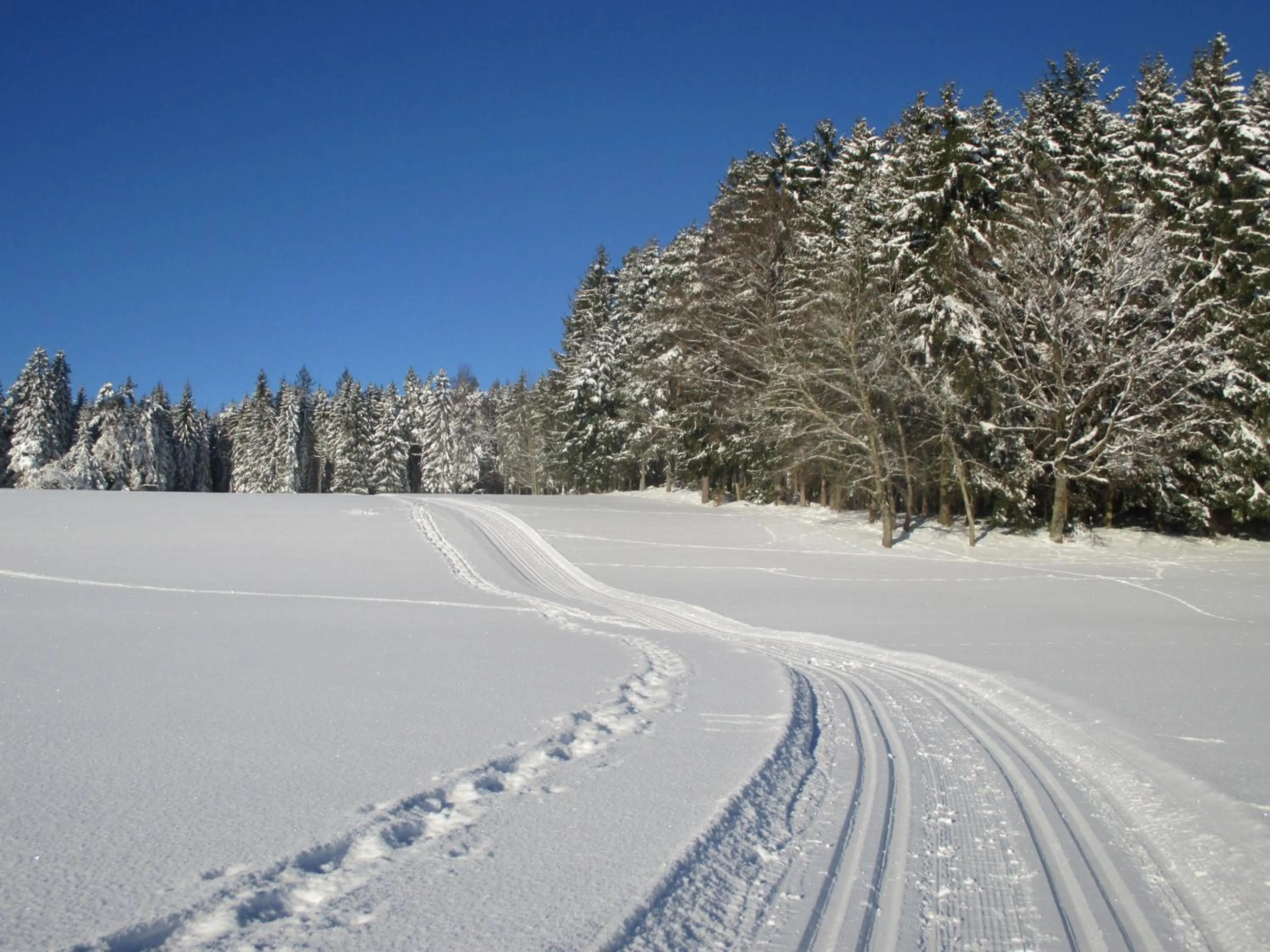Black Forest Lodge