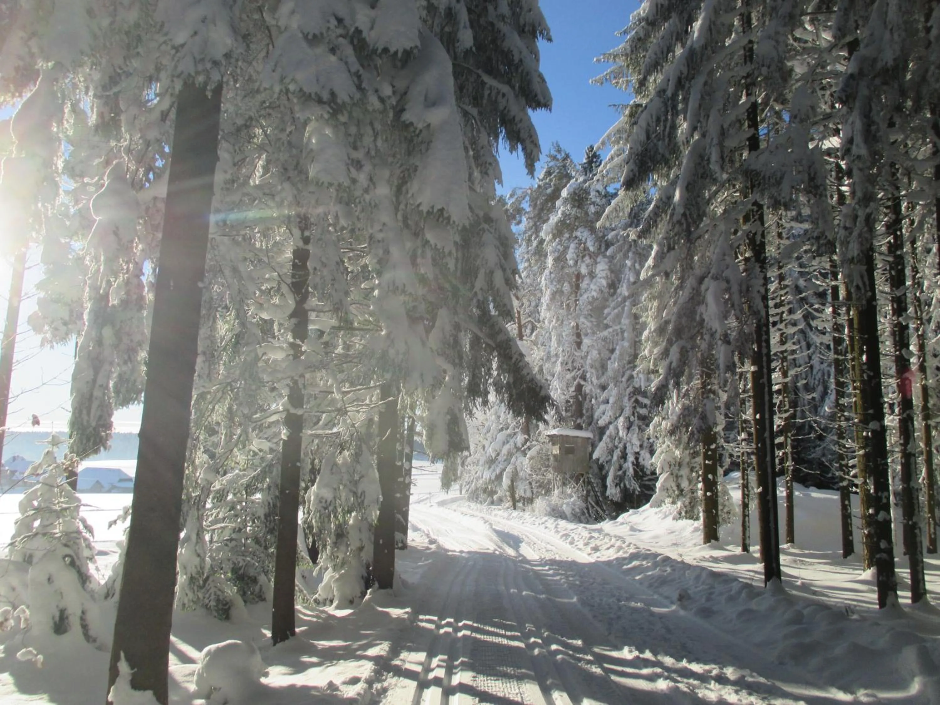 Black Forest Lodge