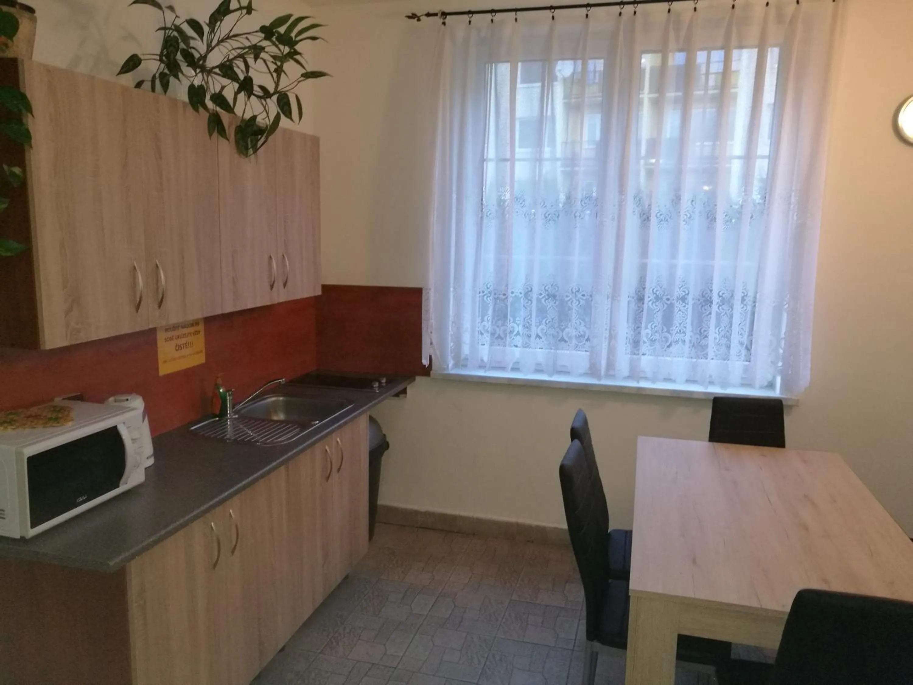 Kitchen or kitchenette in Penzion PALMA